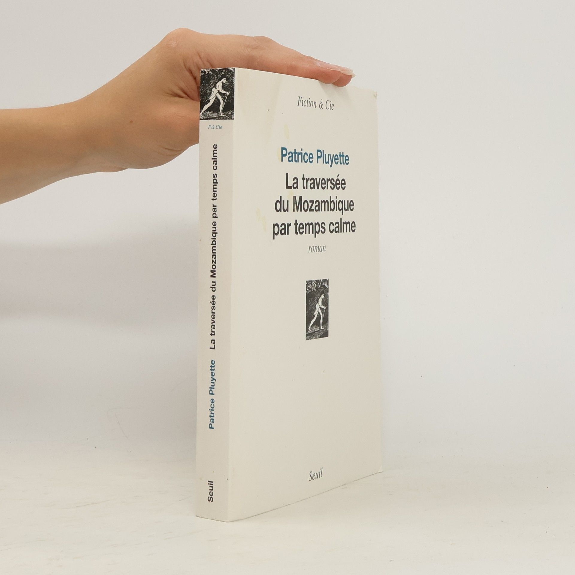 Patrice Pluyette La traversée du Mozambique par temps calme