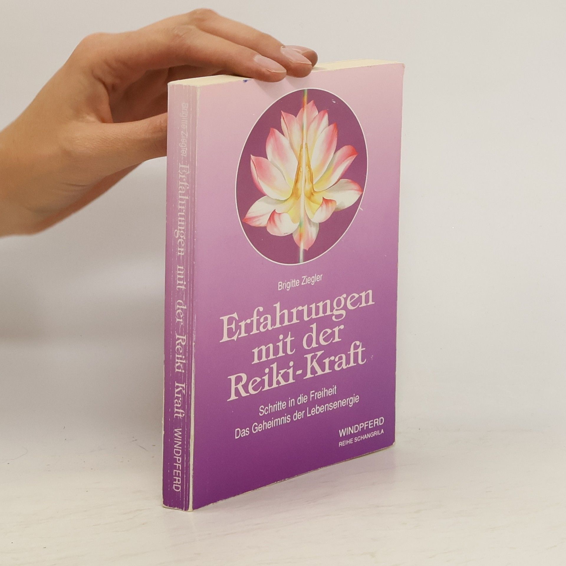Brigitte Ziegler Erfahrungen mit der Reiki-Kraft