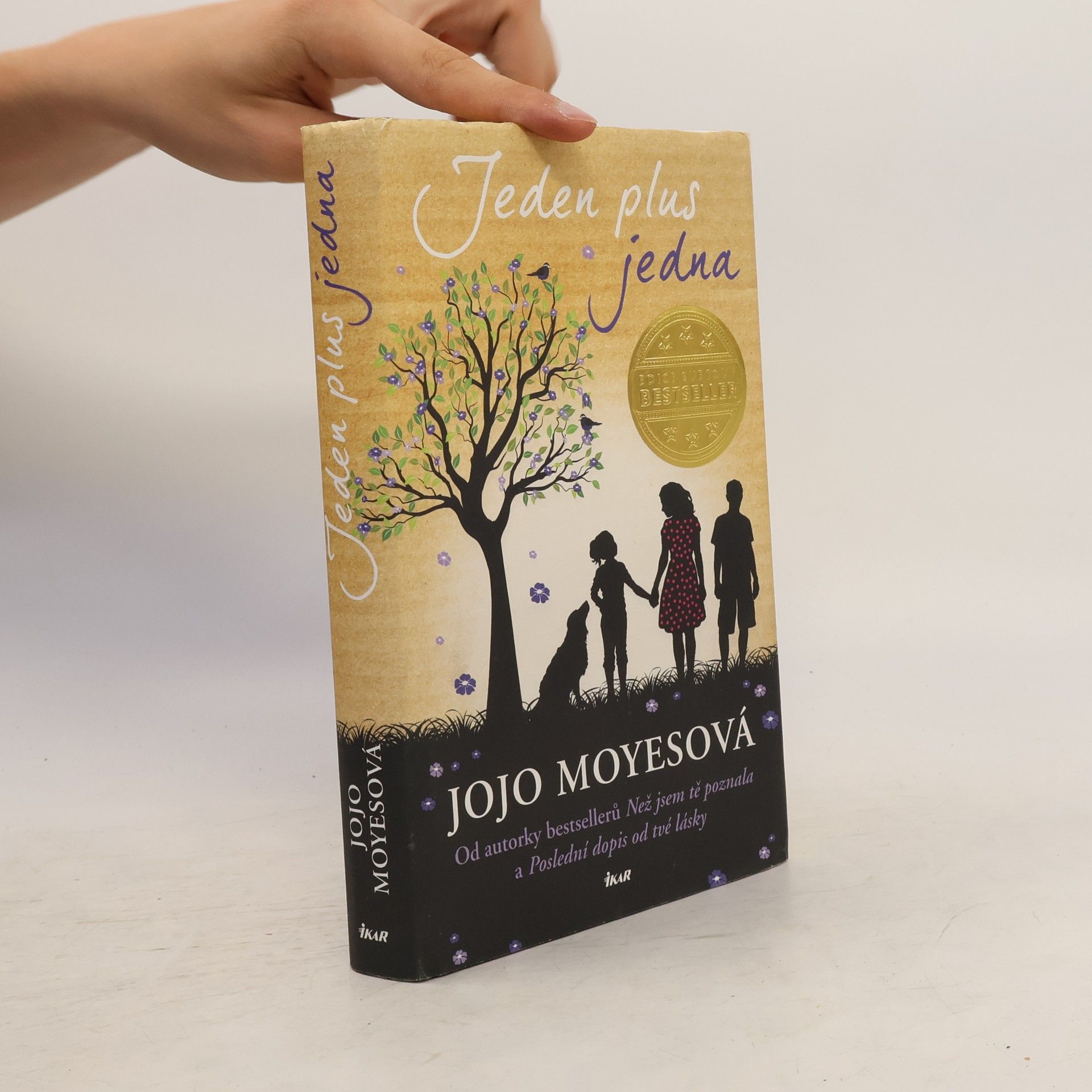 Jojo Moyes Jeden plus jedna