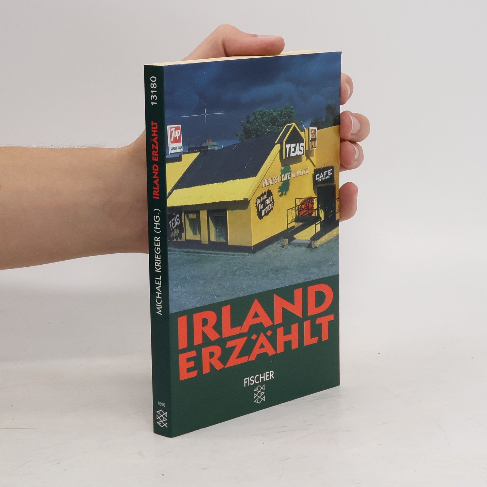 Michael Krieger Irland erzählt