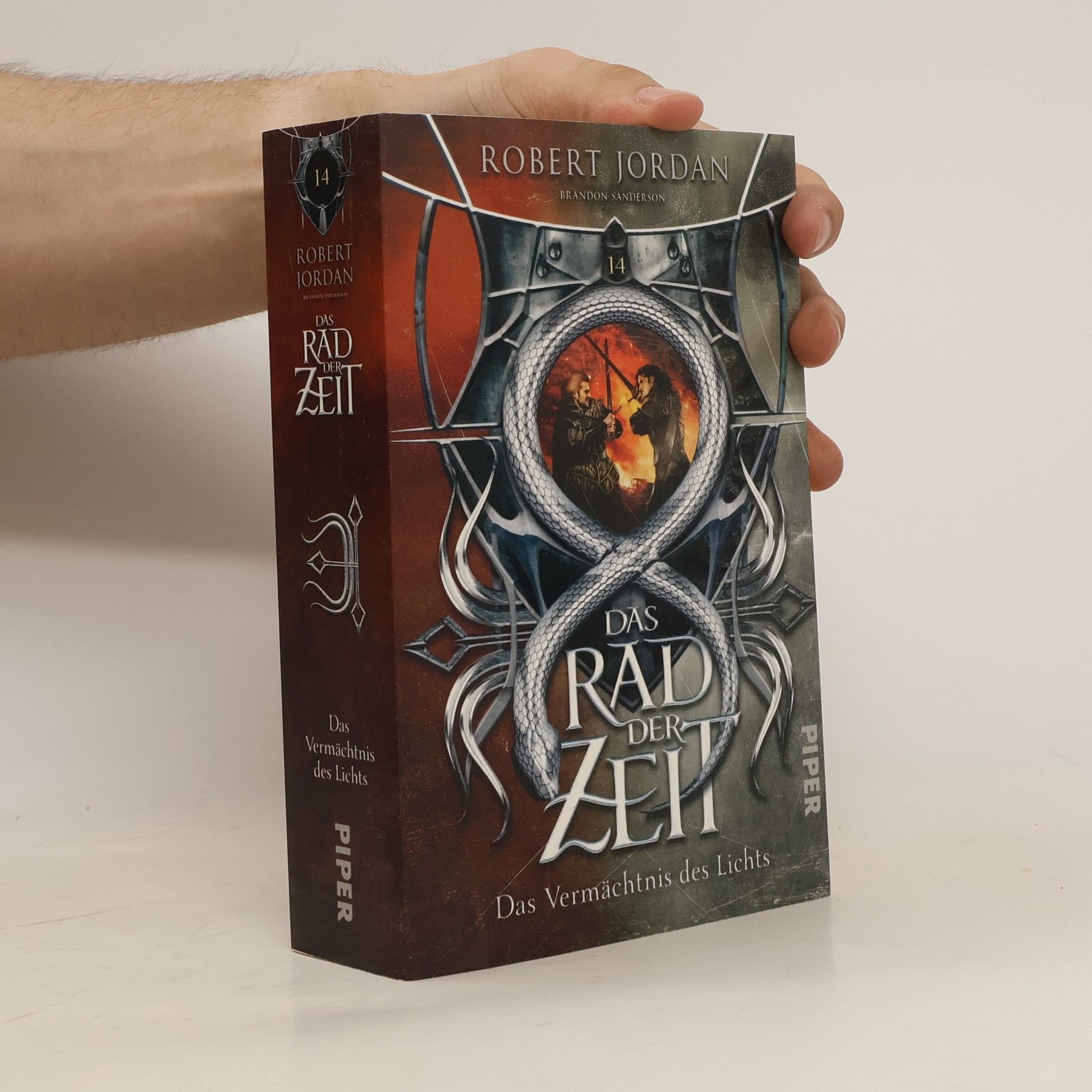 Robert Jordan Das Rad der Zeit 14