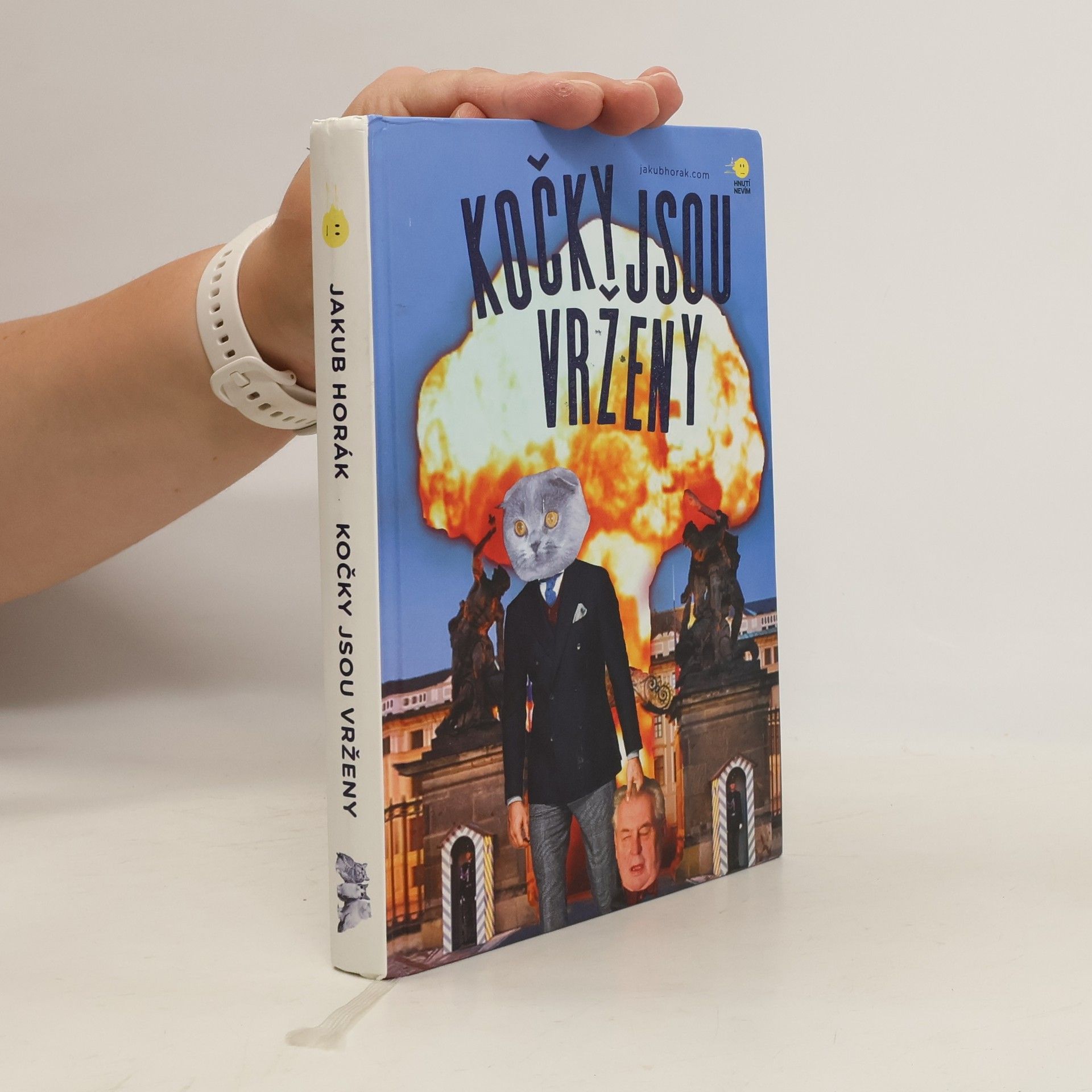 Jakub Horák Kočky jsou vrženy: Fantastický román