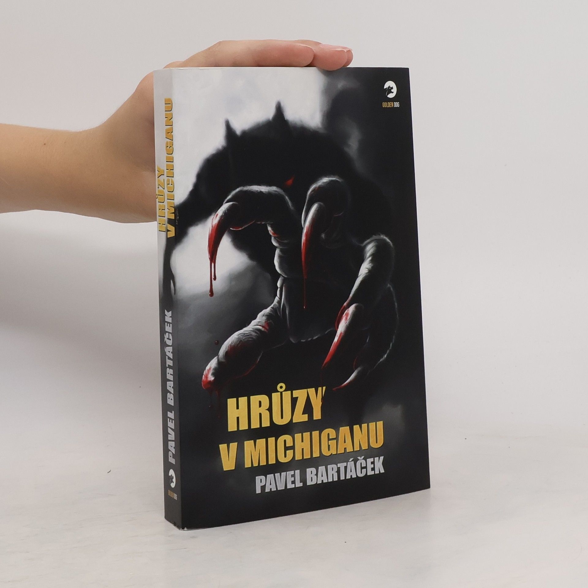 Pavel Bartáček Hrůzy v Michiganu
