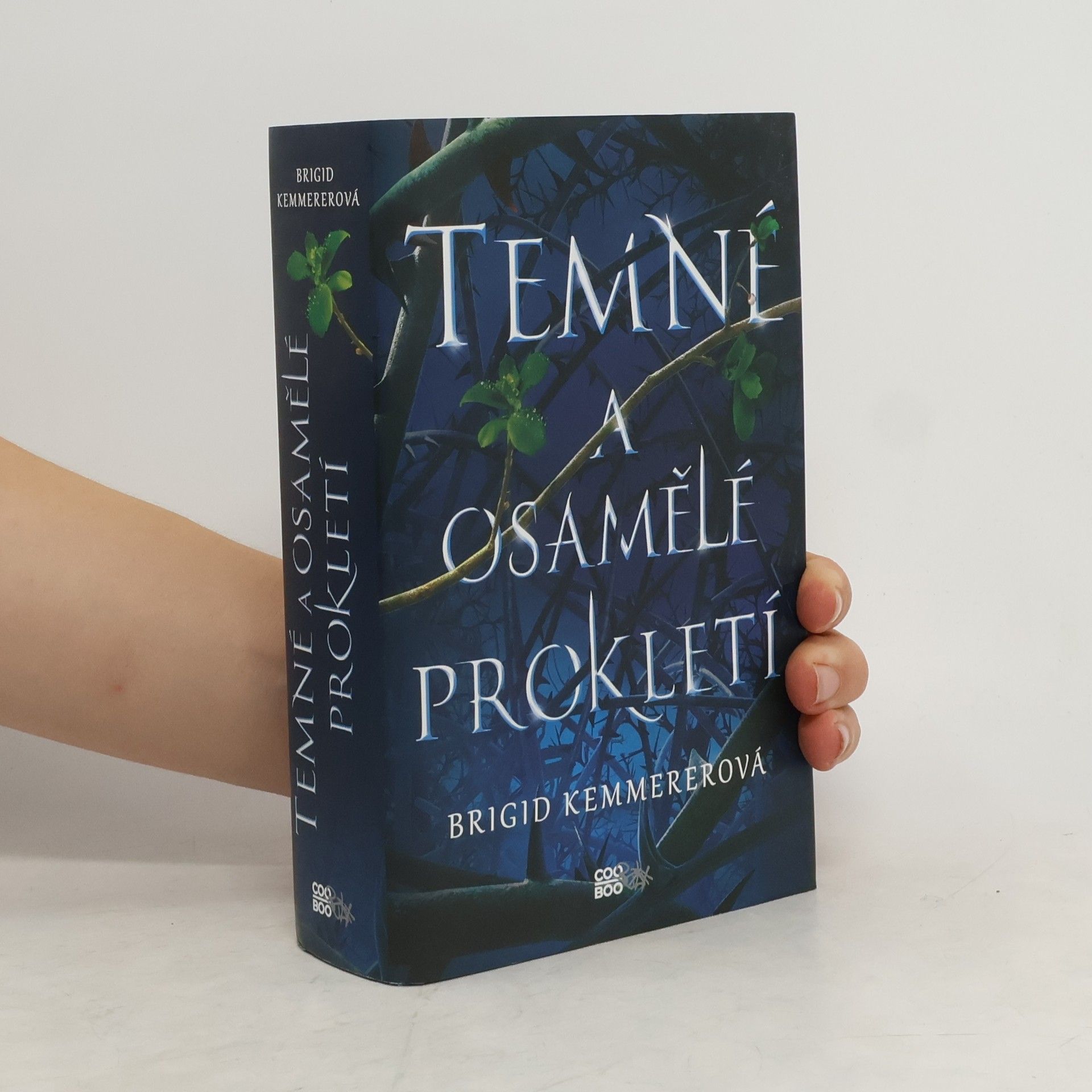 Brigid Kemmererová Temné a osamělé prokletí