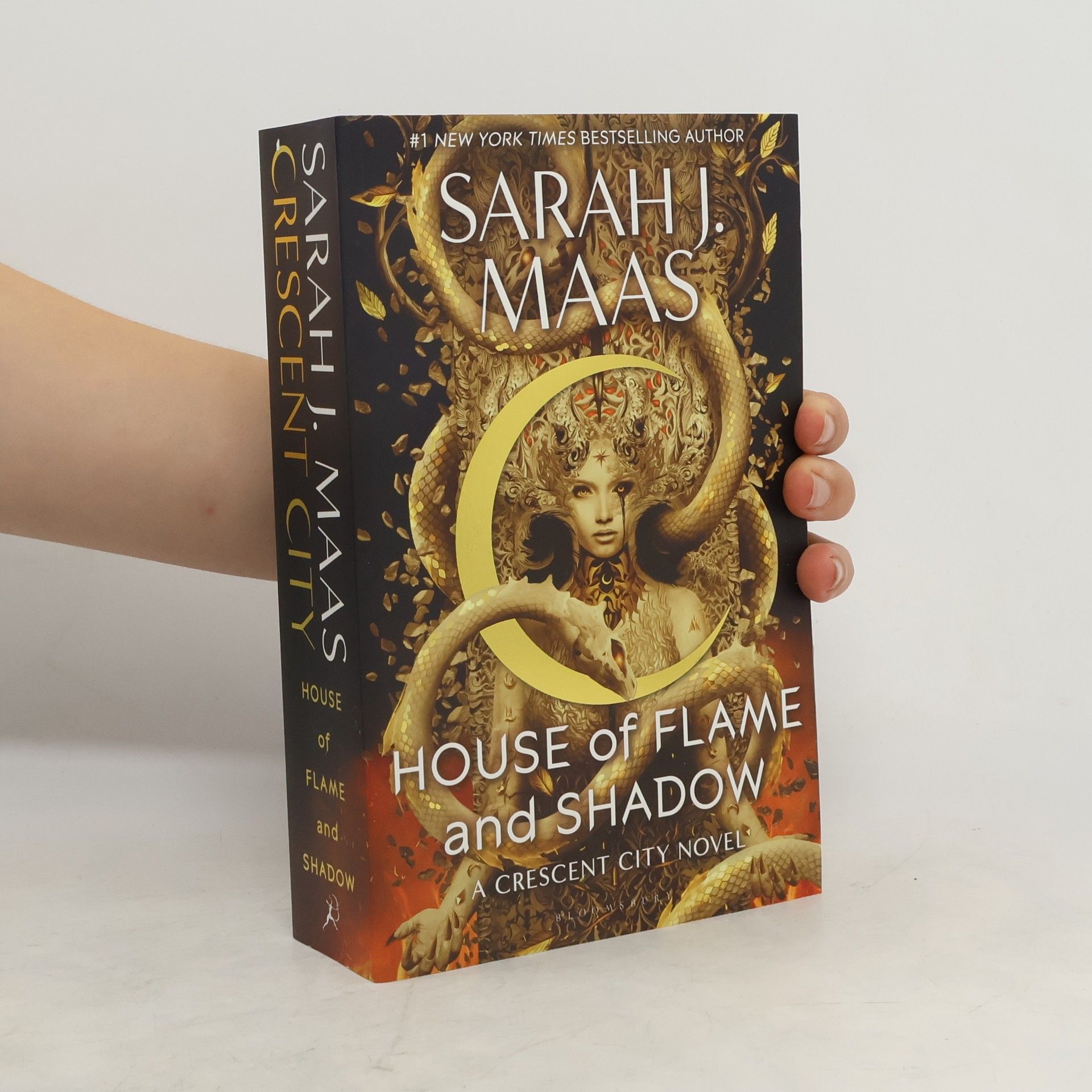 Sarah J. Maas House of Flame and Shadow