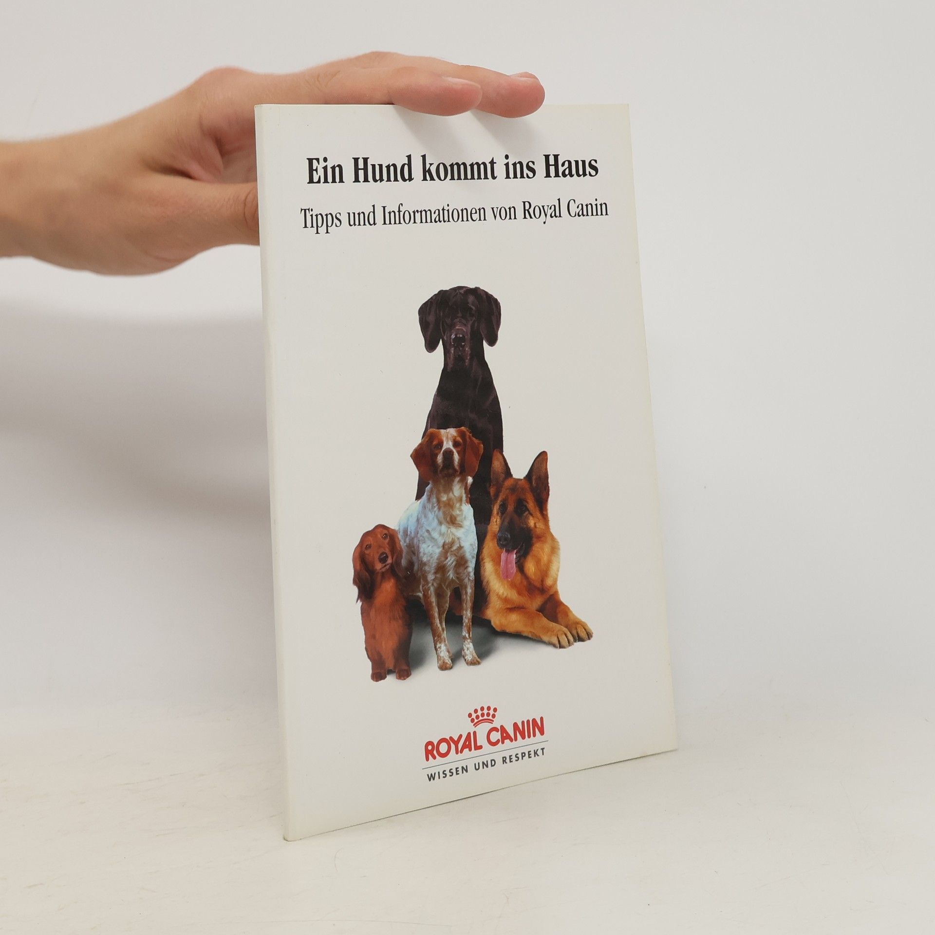 kolektiv Ein Hund kommt ins Haus