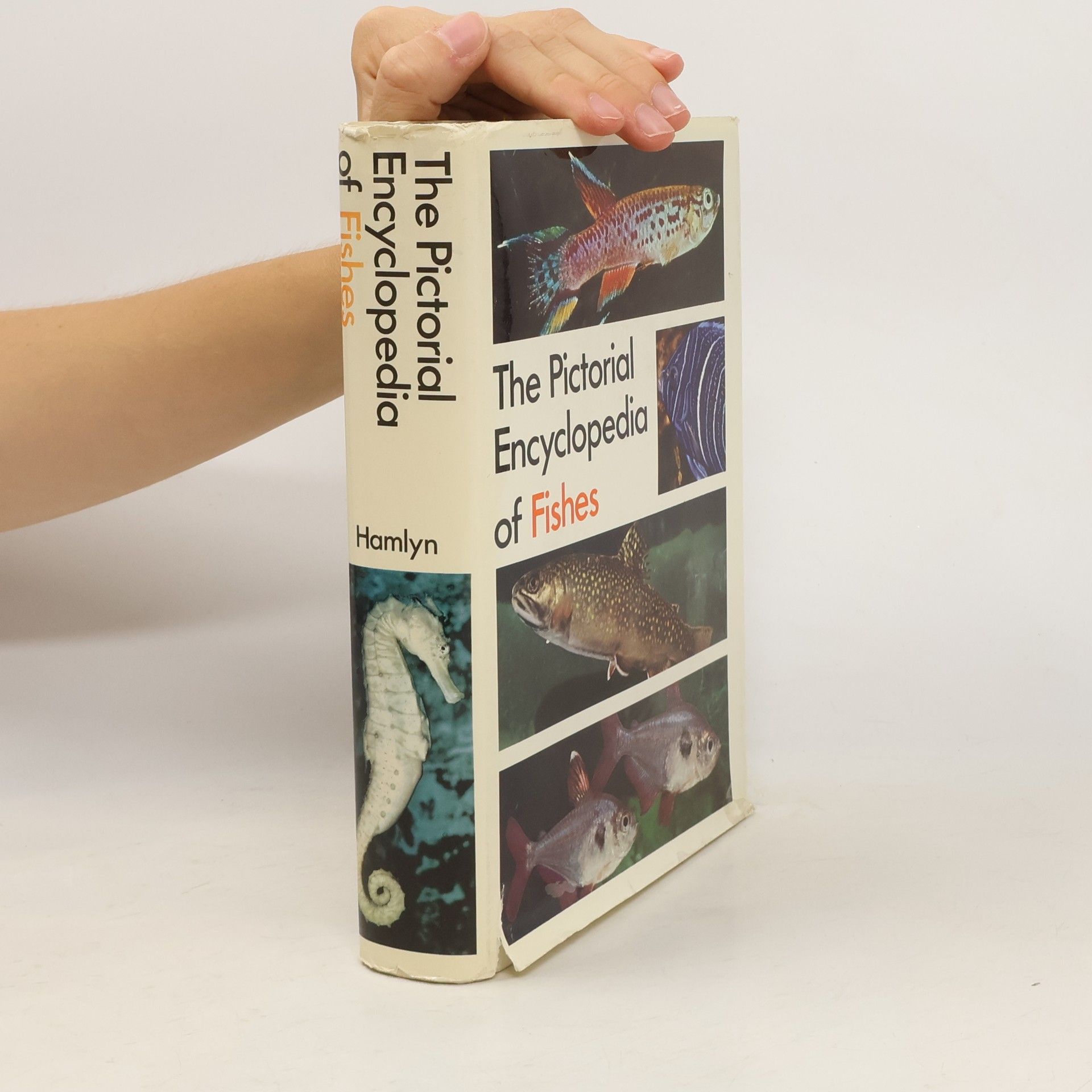Autorenkollektiv The Pictorial Encyclopedia of Fishes