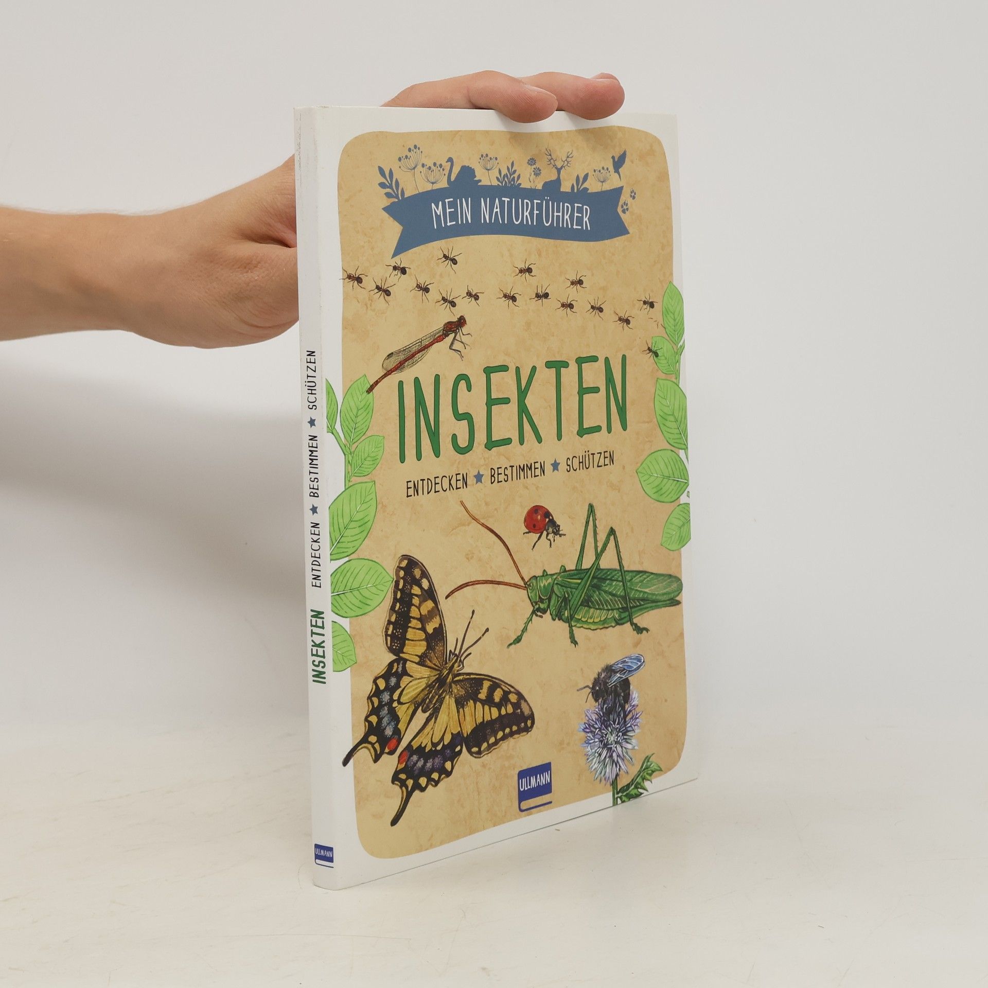 Xavier Japiot Mein Naturführer - Insekten