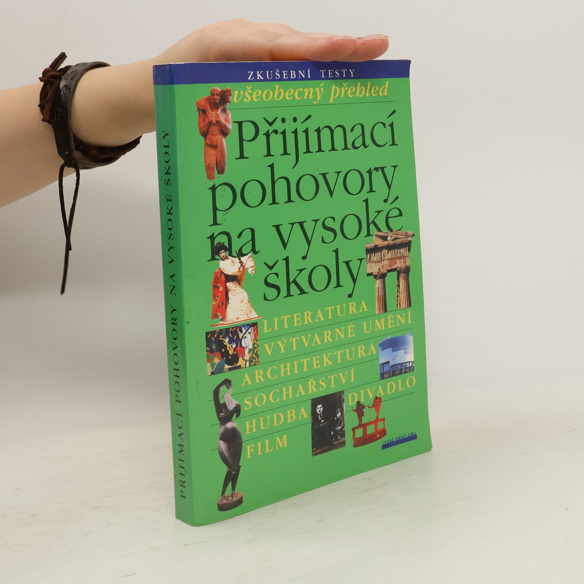 Kolektiv autorů Přijímací pohovory na vysoké školy