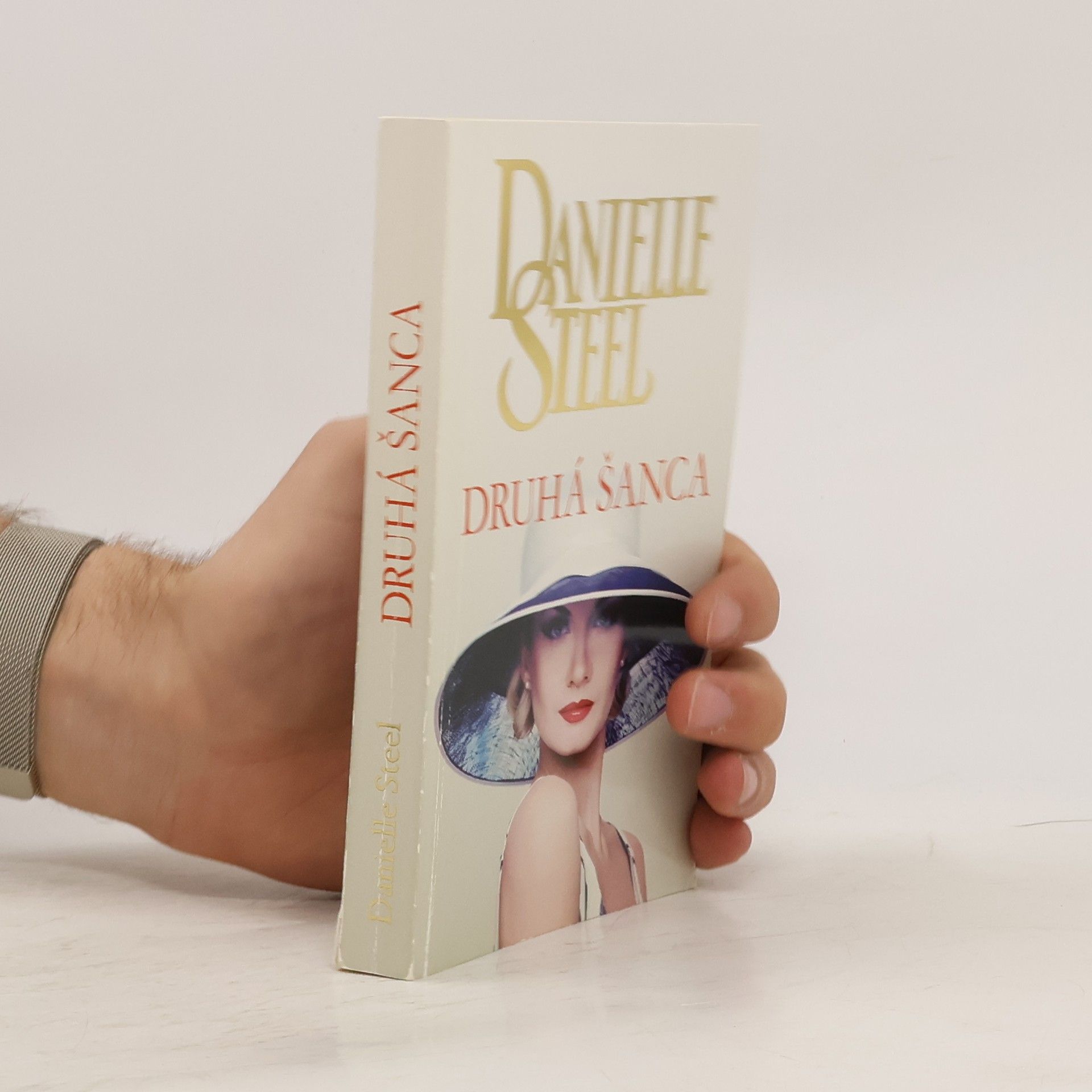 Danielle Steel Druhá šanca