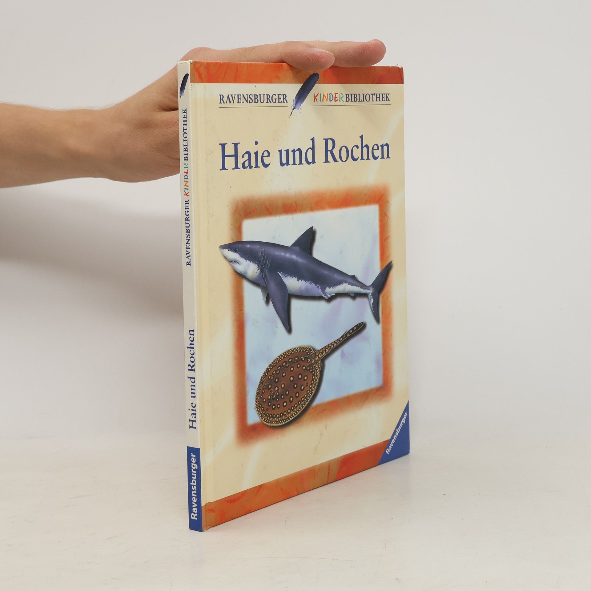 Christiane Burkhardt Haie und Rochen