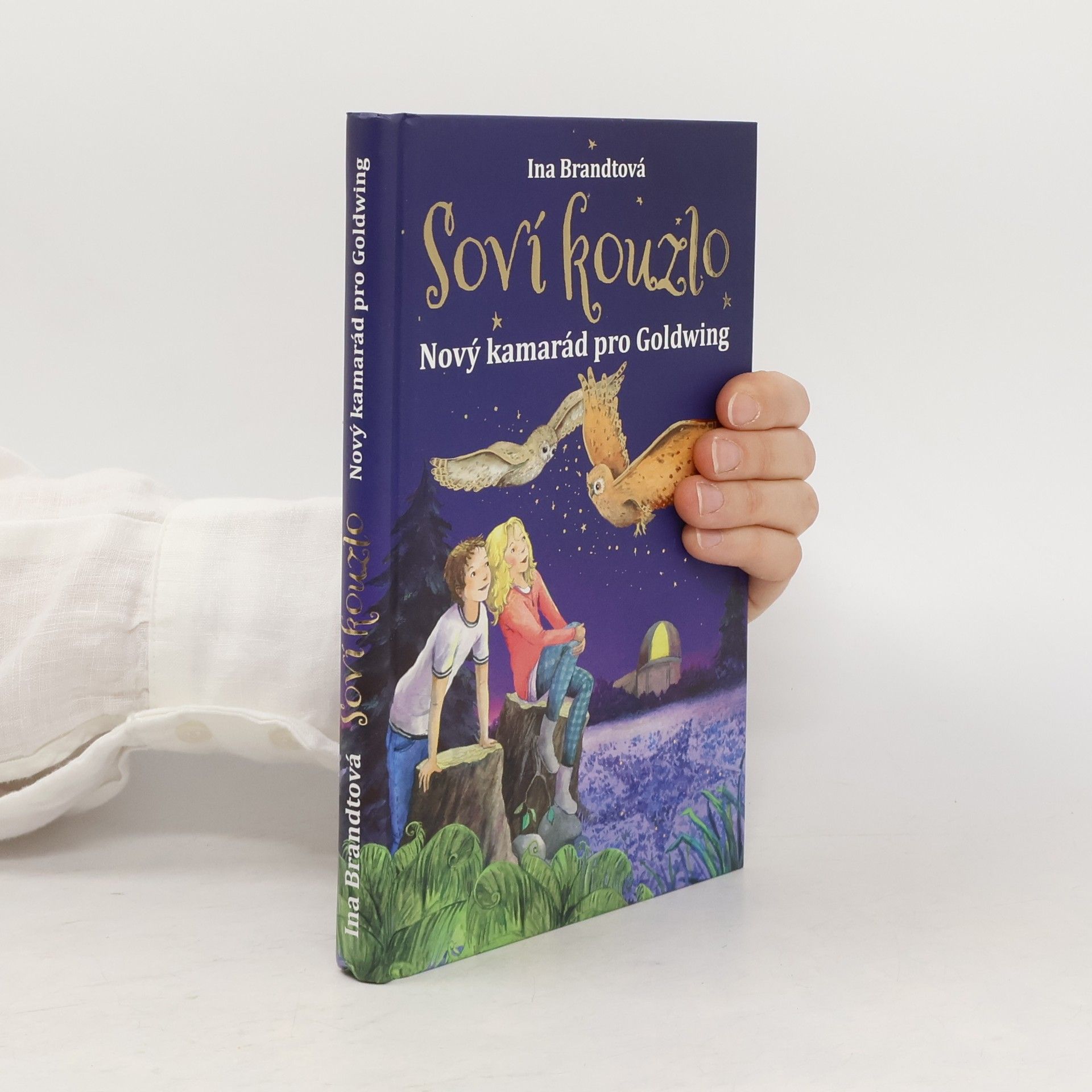 Ina Brandt Soví kouzlo. Nový kamarád pro Goldwing