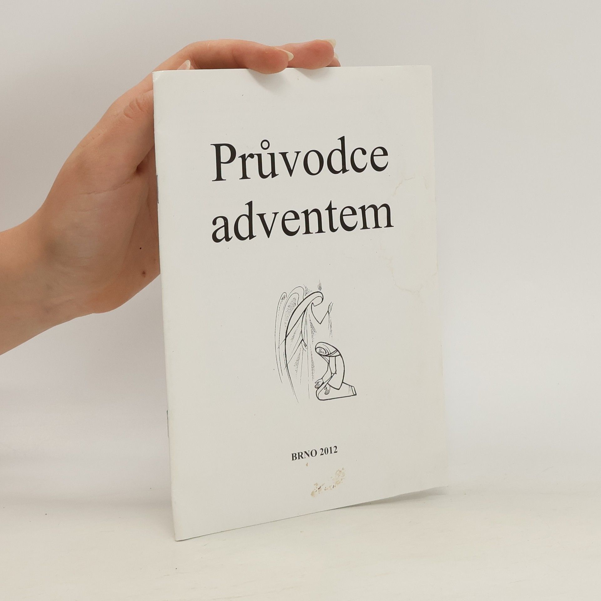 Collectif d'auteurs Průvodce adventem