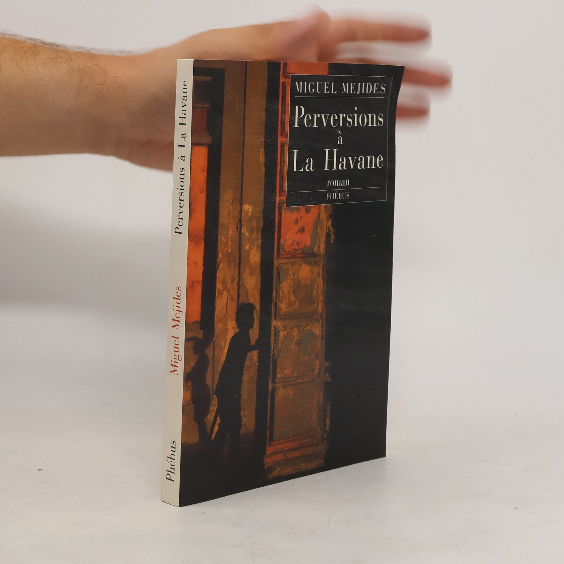 Miguel Mejides Perversions à La Havane