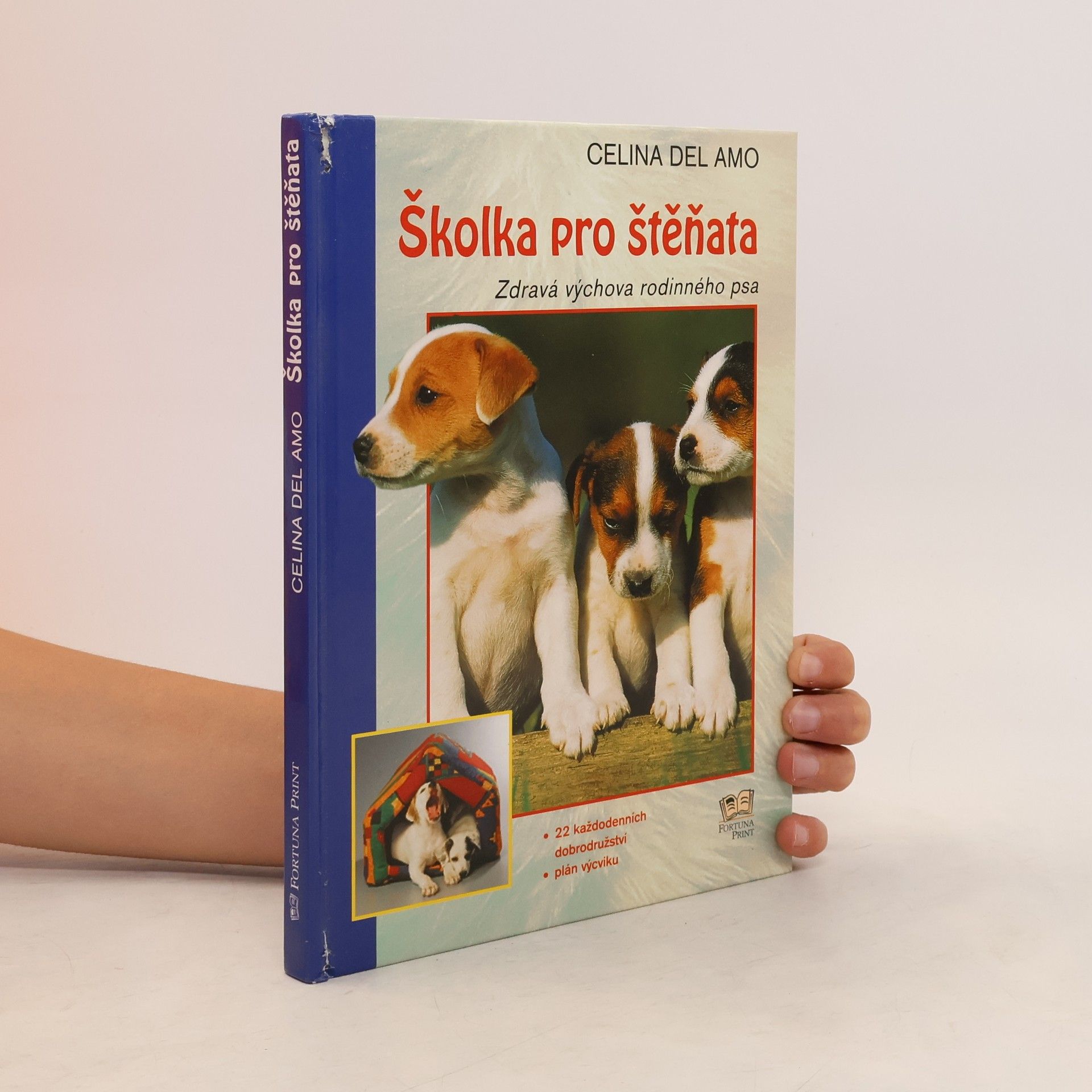 Celina Del Amo Školka pro štěňata: Zdravá výchova rodinného psa
