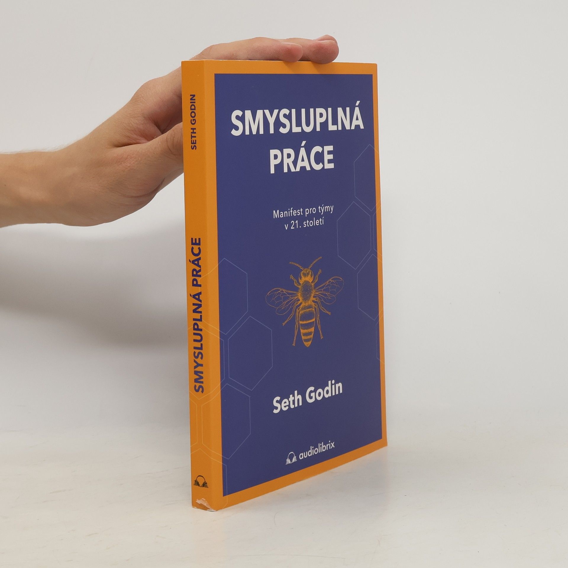 Seth Godin Smysluplná práce : manifest pro týmy v 21. století
