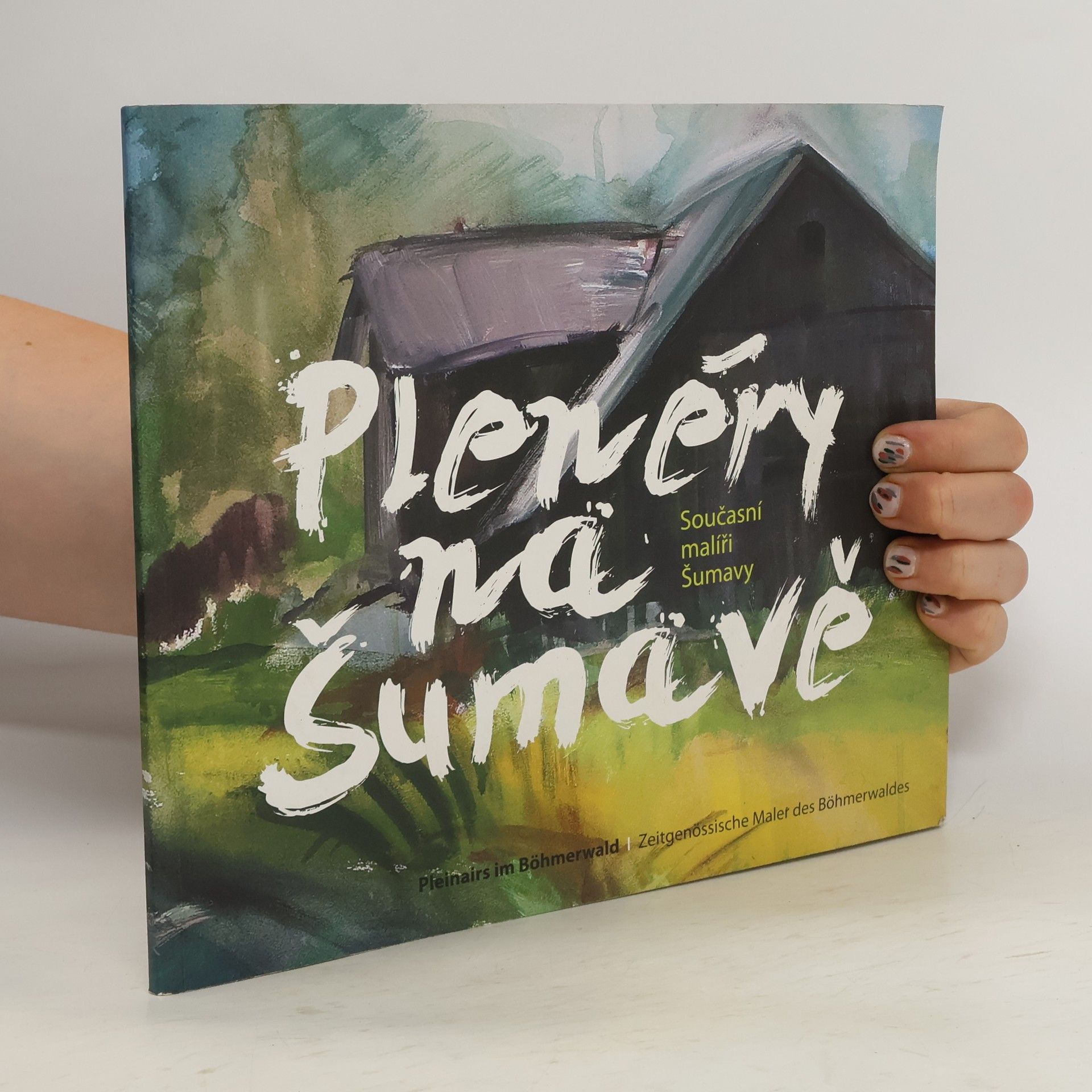 Autorenkollektiv Plenéry na Šumavě: současní malíři Šumavy