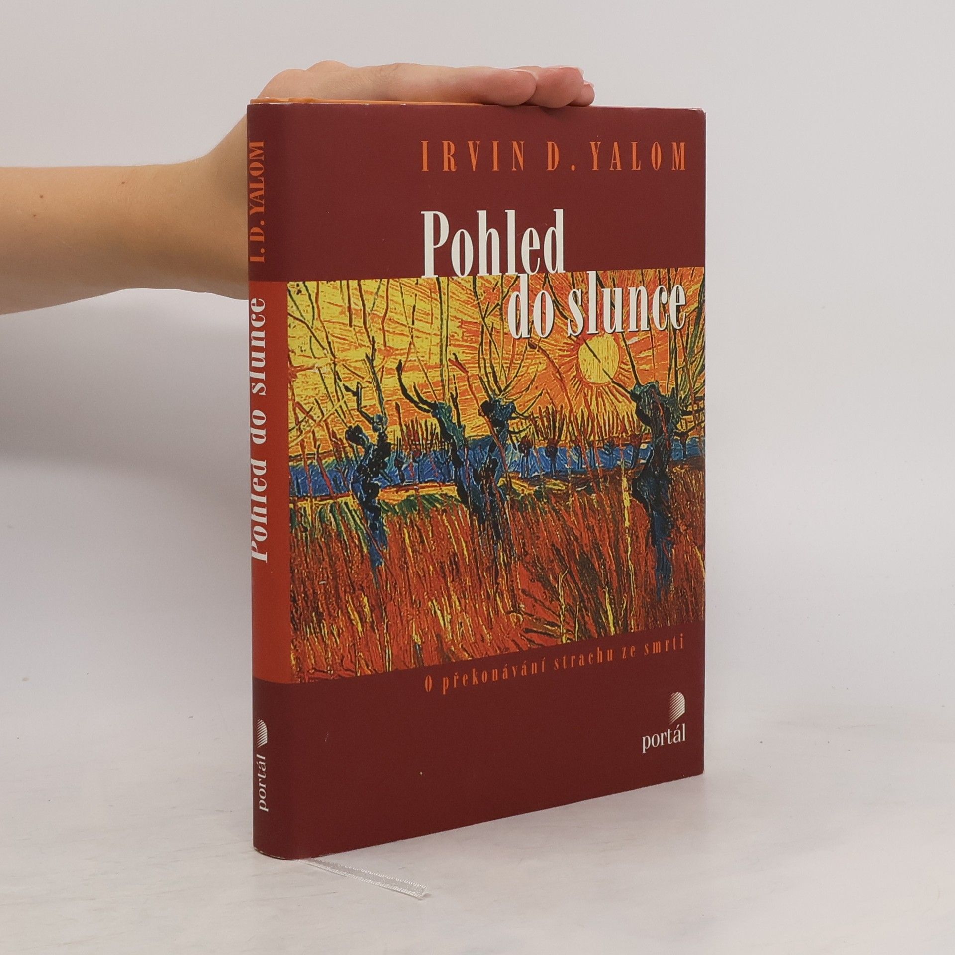 Irvin Yalom Pohled do slunce