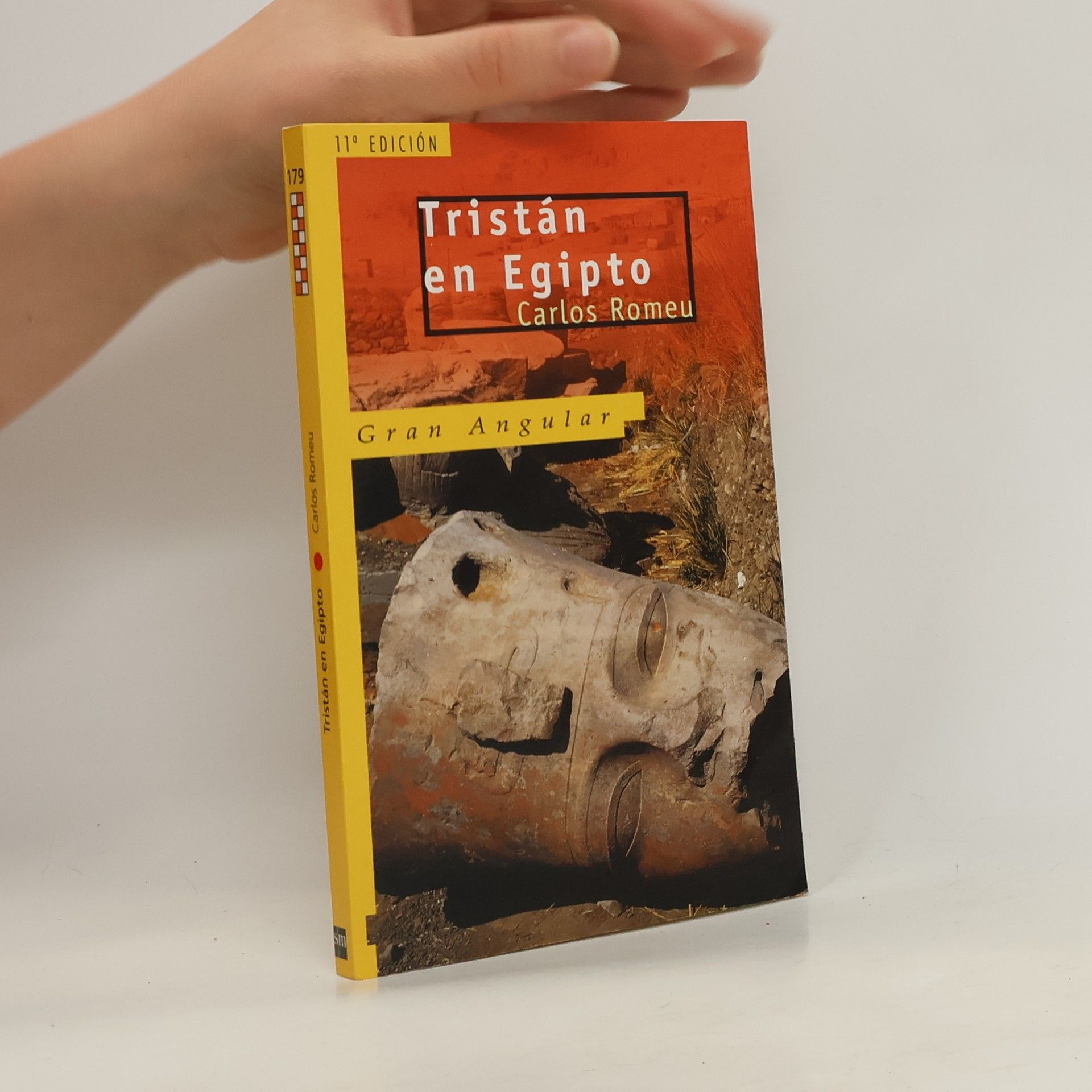 Carlos Romeu Tristán en Egipto