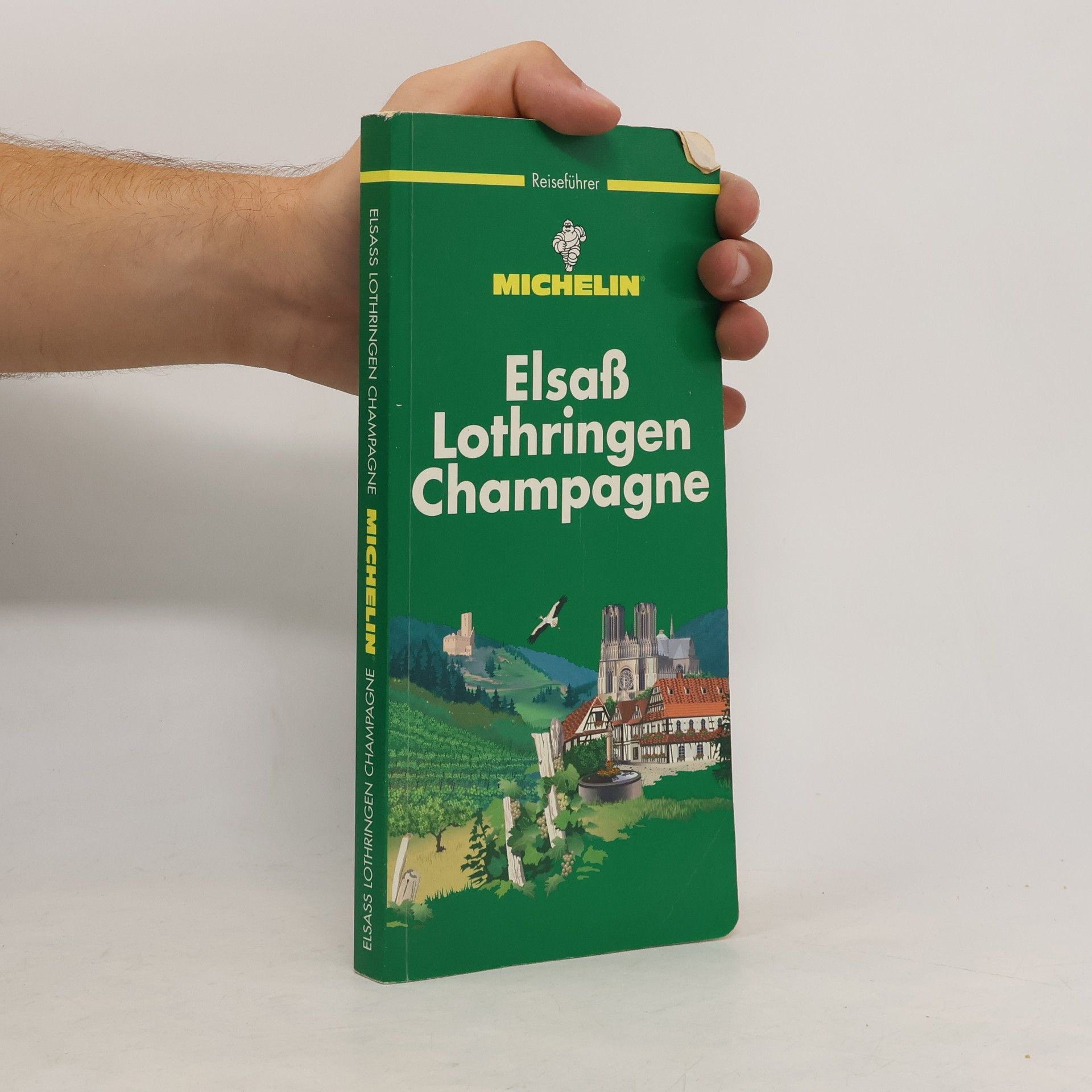 Collectif d'auteurs Elsaß Lothringen Champagne