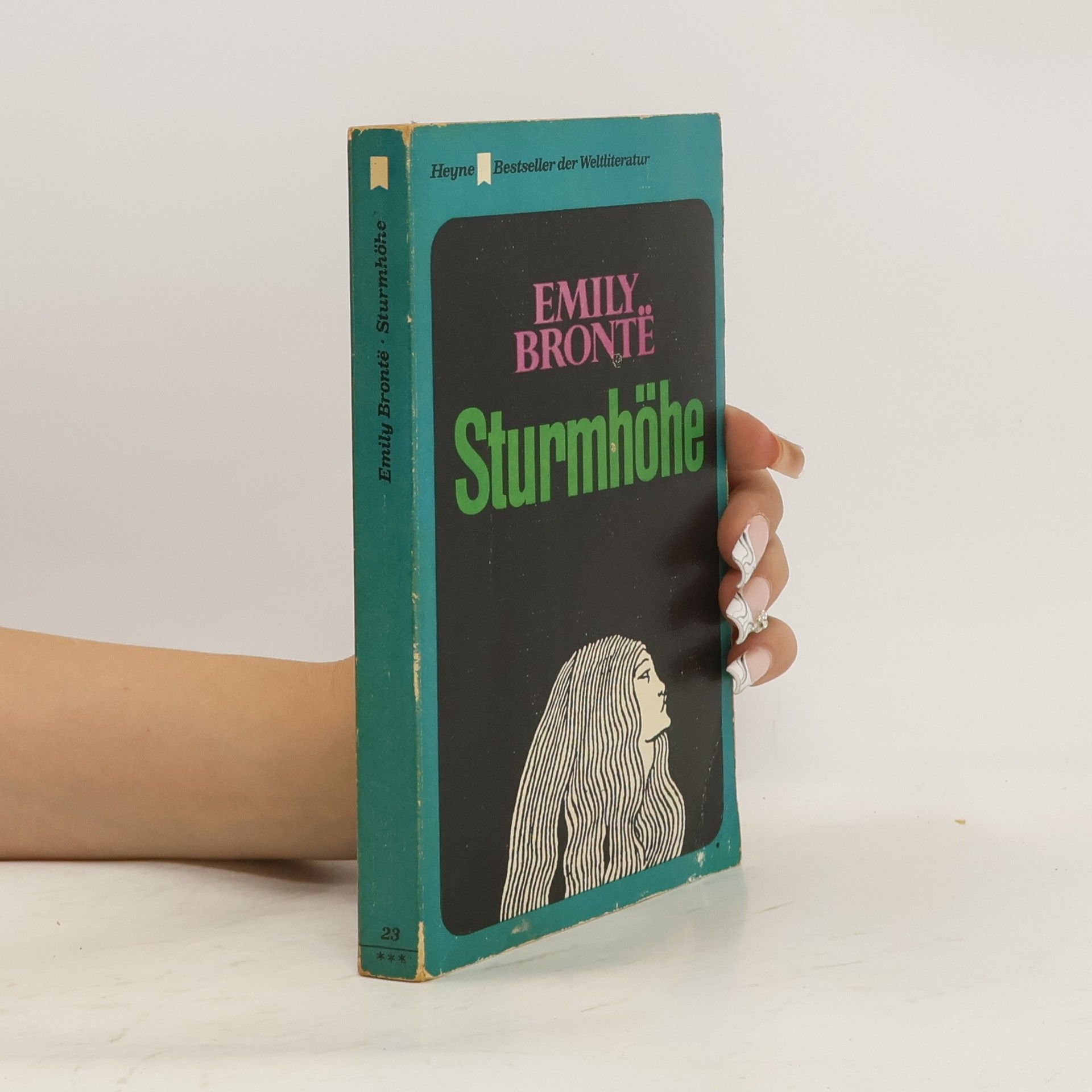 Emily Brontë Sturmhöhe