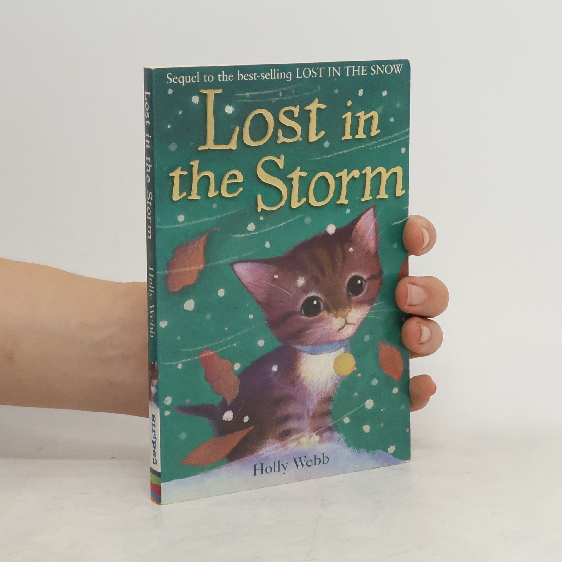 Holly Webb Lost in the Storm