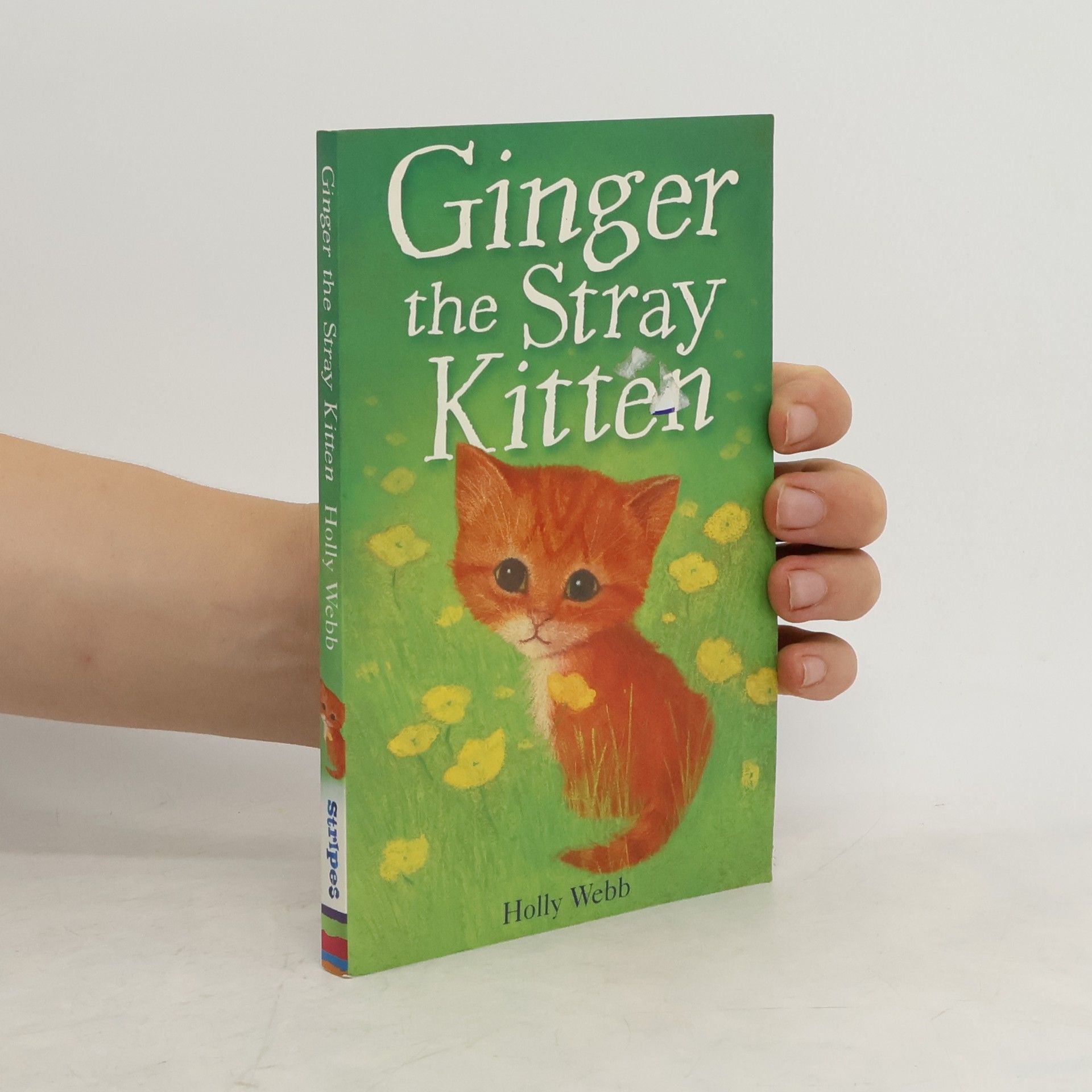Holly Webb Ginger the Stray Kitten