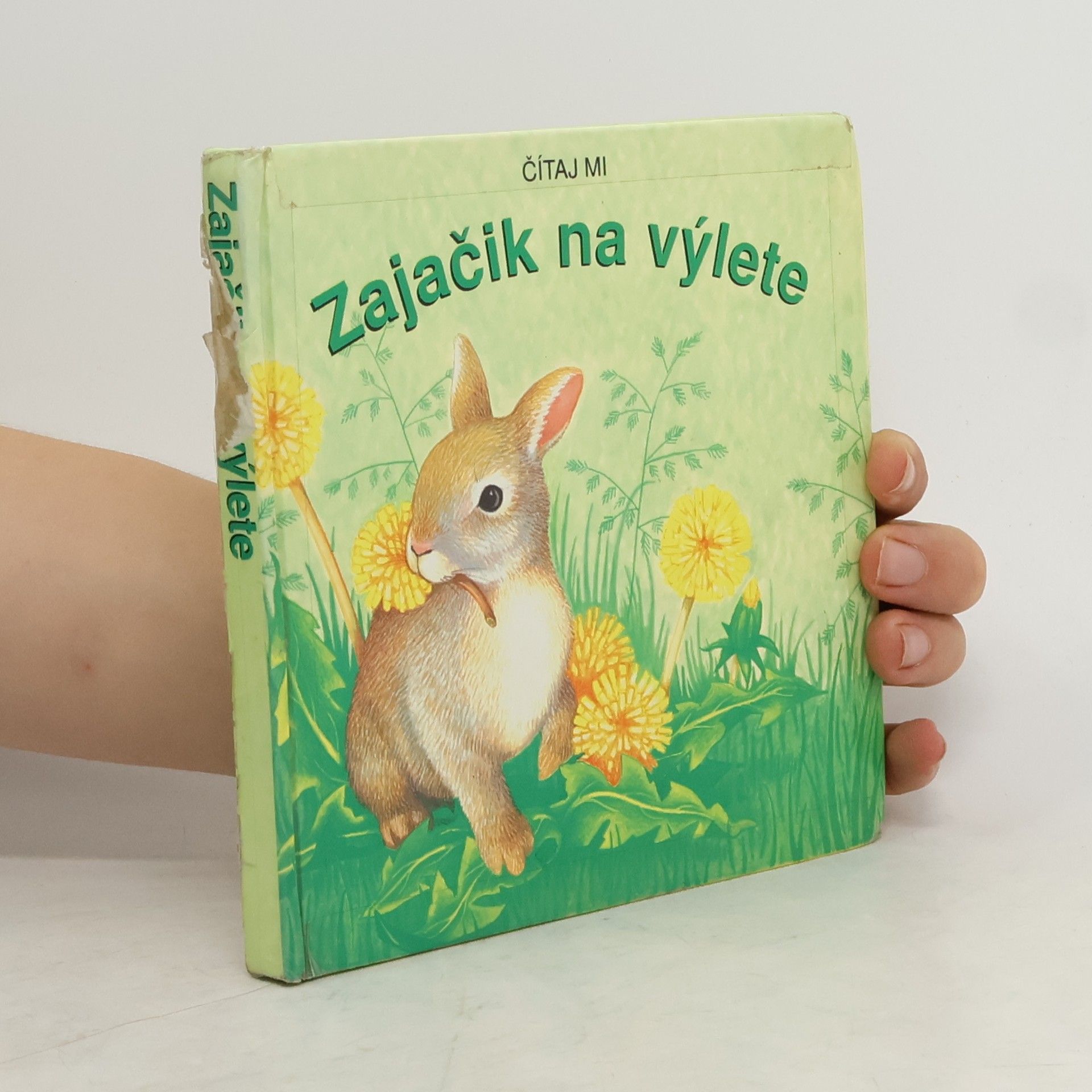 kolektiv Čítaj mi. Zajačik na výlete