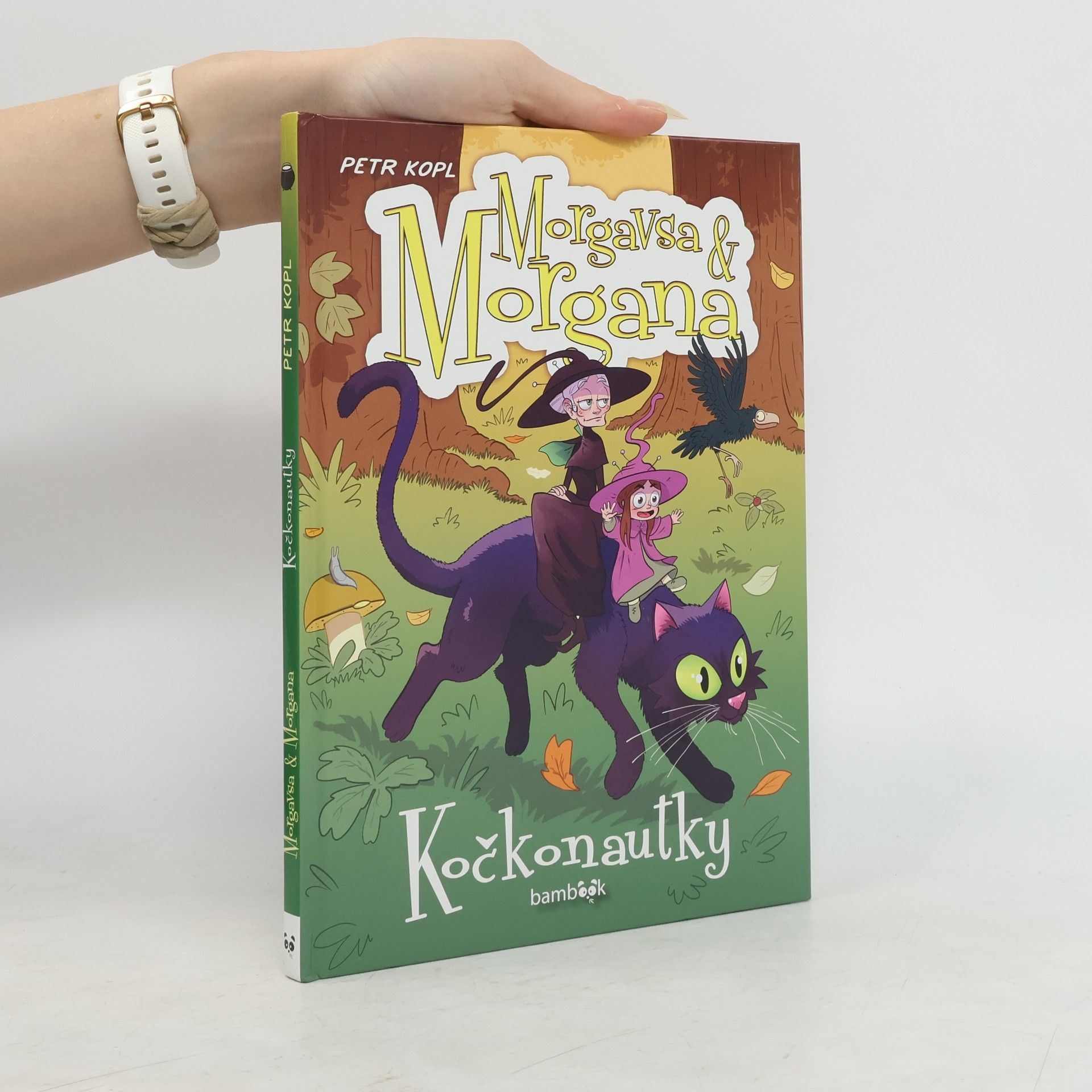 Petr Kopl Morgavsa & Morgana : sága Egyptika. Kotlík první, Kočkonautky