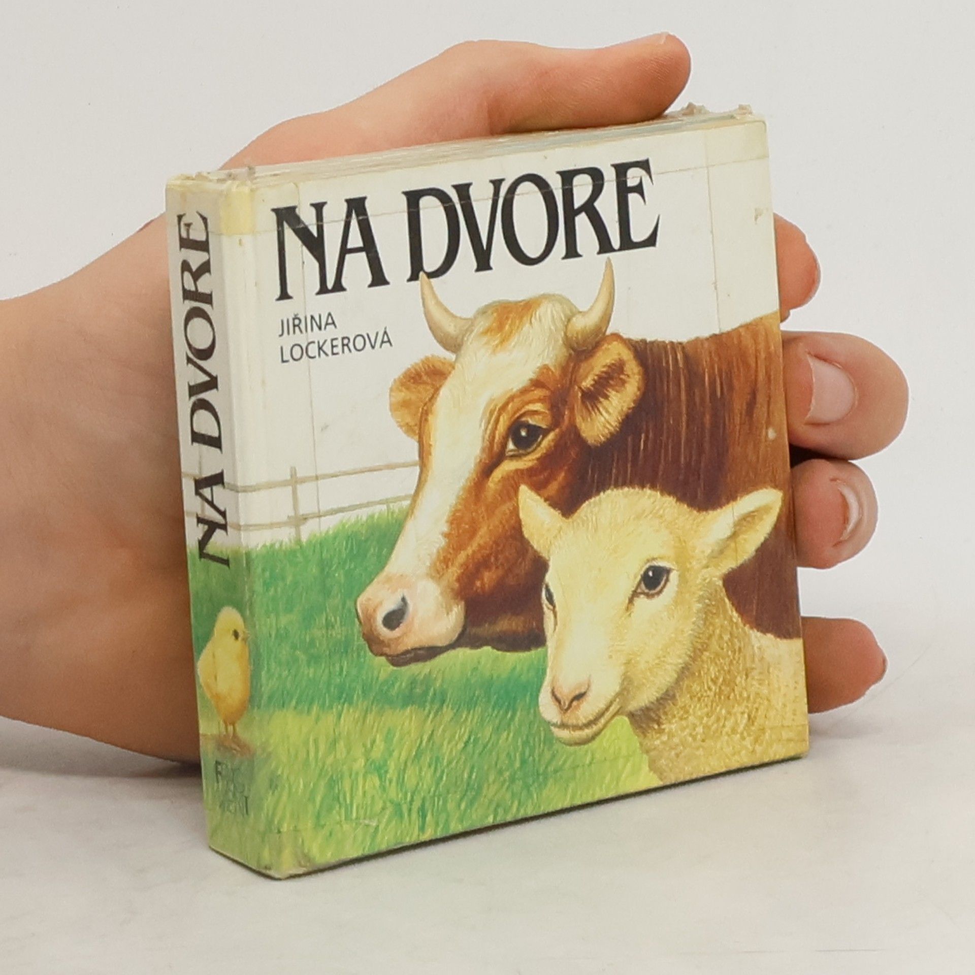 Jiřina Lockerová Na dvore