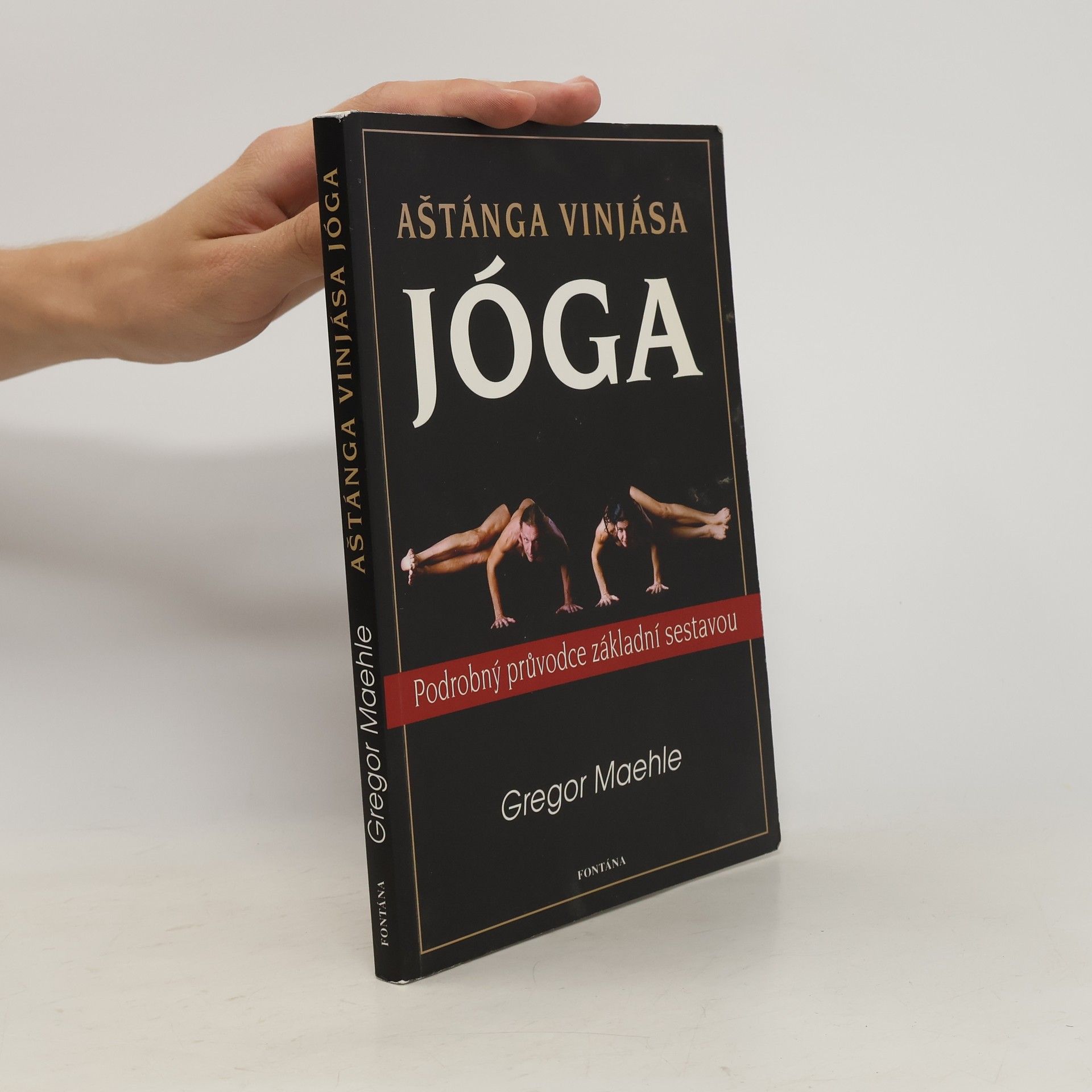 Gregor Maehle Aštánga vinjása jóga
