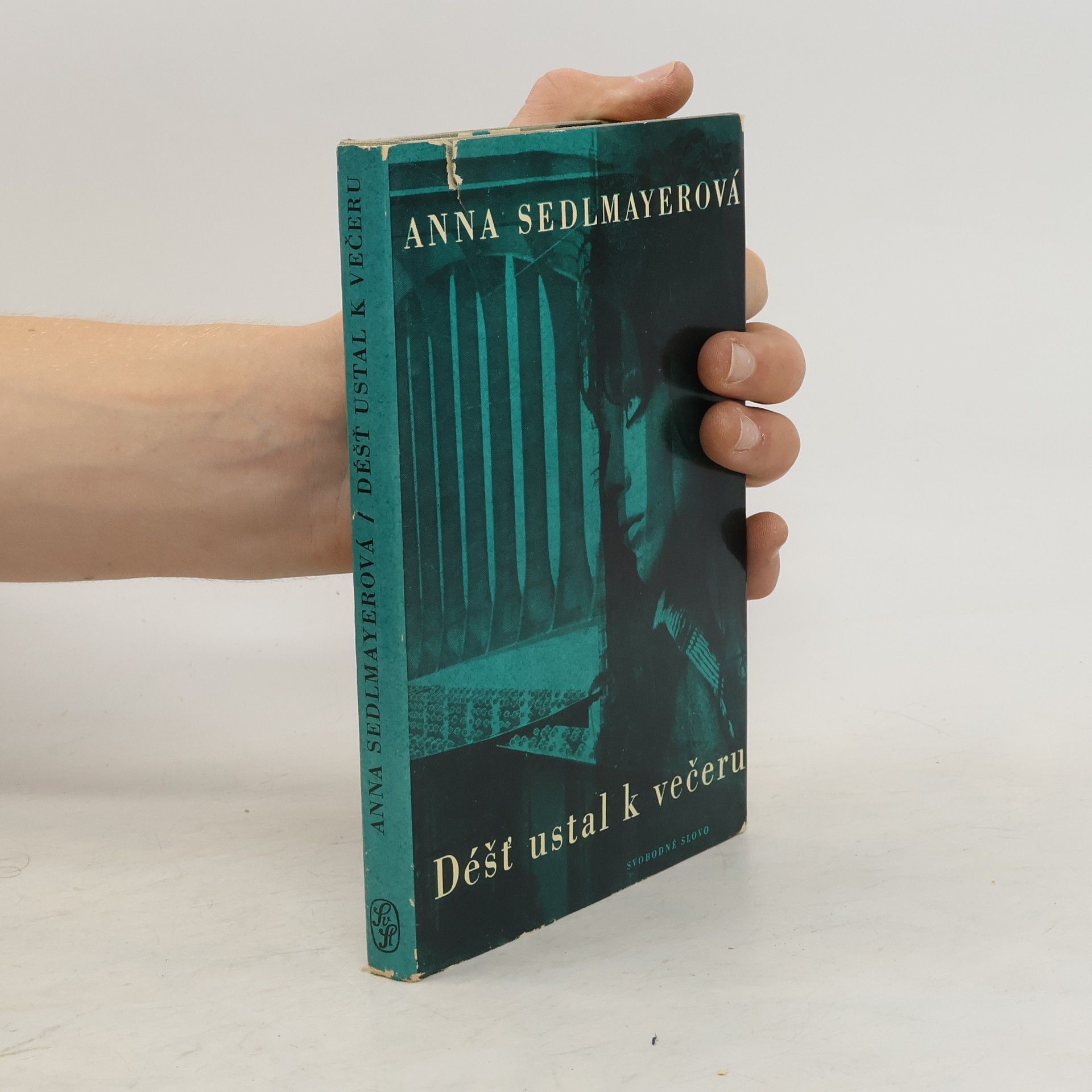 Anna Sedlmayerová Déšť ustal k večeru