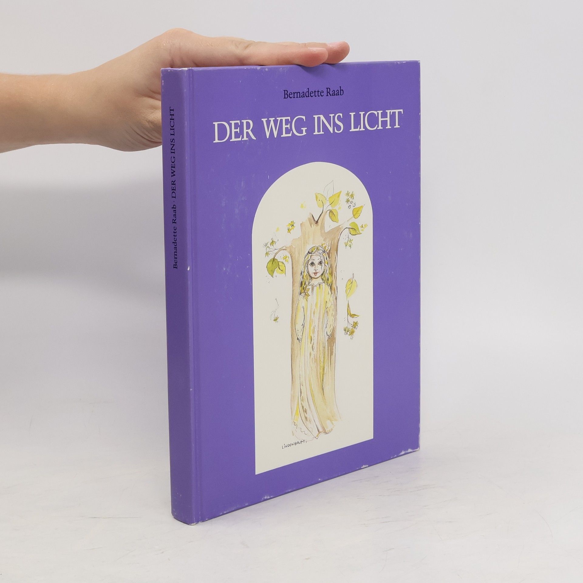 Bernadette Raab Der Weg ins Licht