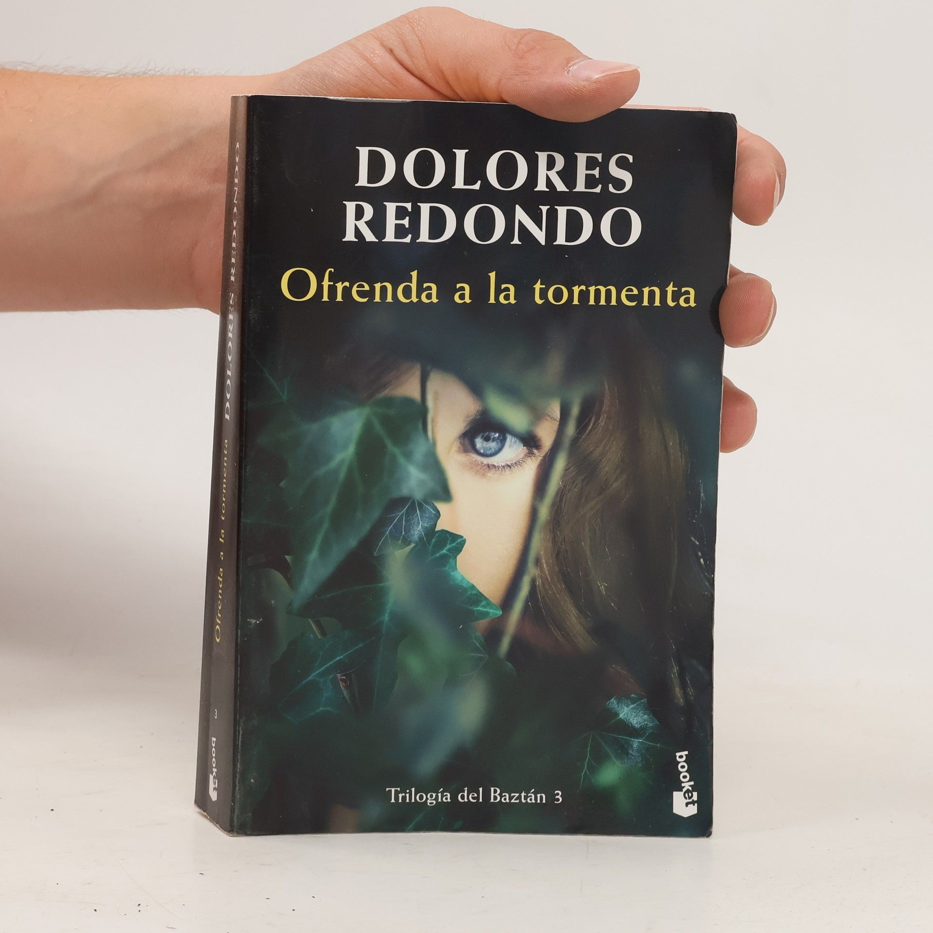 Dolores Redondo Ofrenda a la tormenta