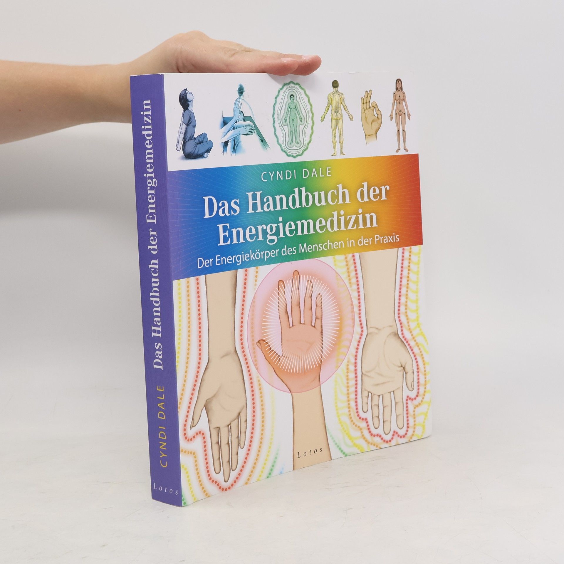Cyndi Dale Das Handbuch der Energiemedizin