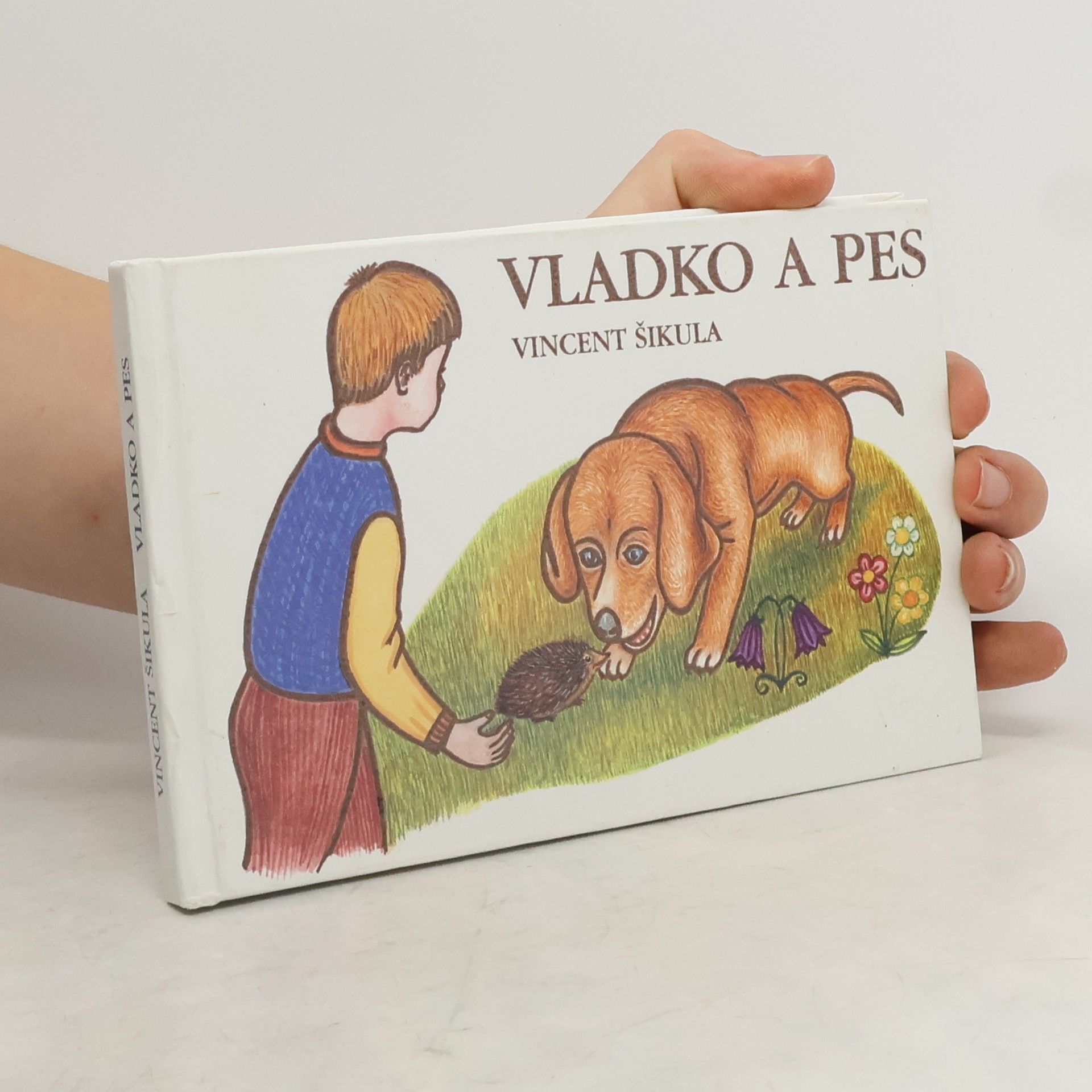 Vincent Šikula Vladko a pes