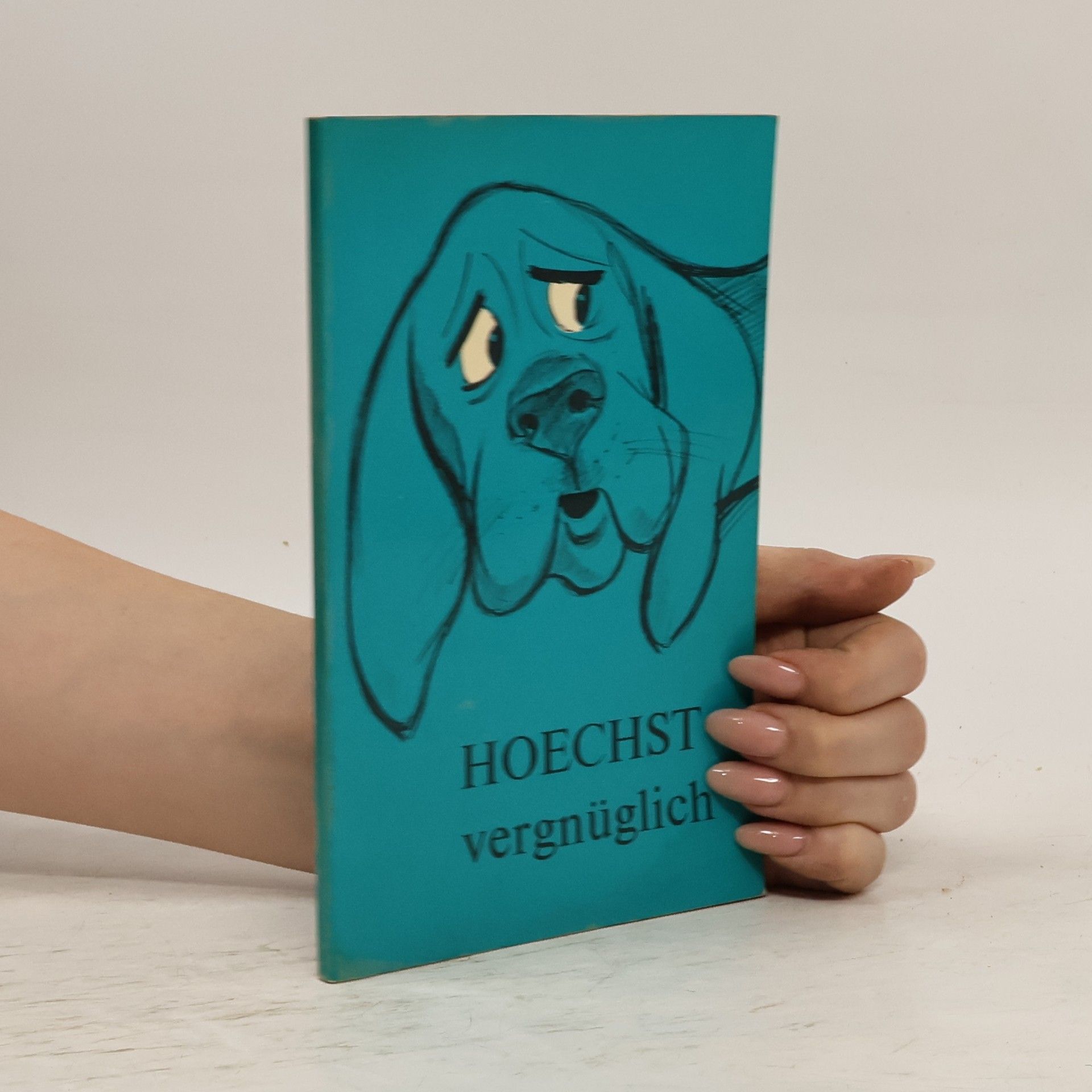 Autorenkollektiv Hoechst vergnüglich