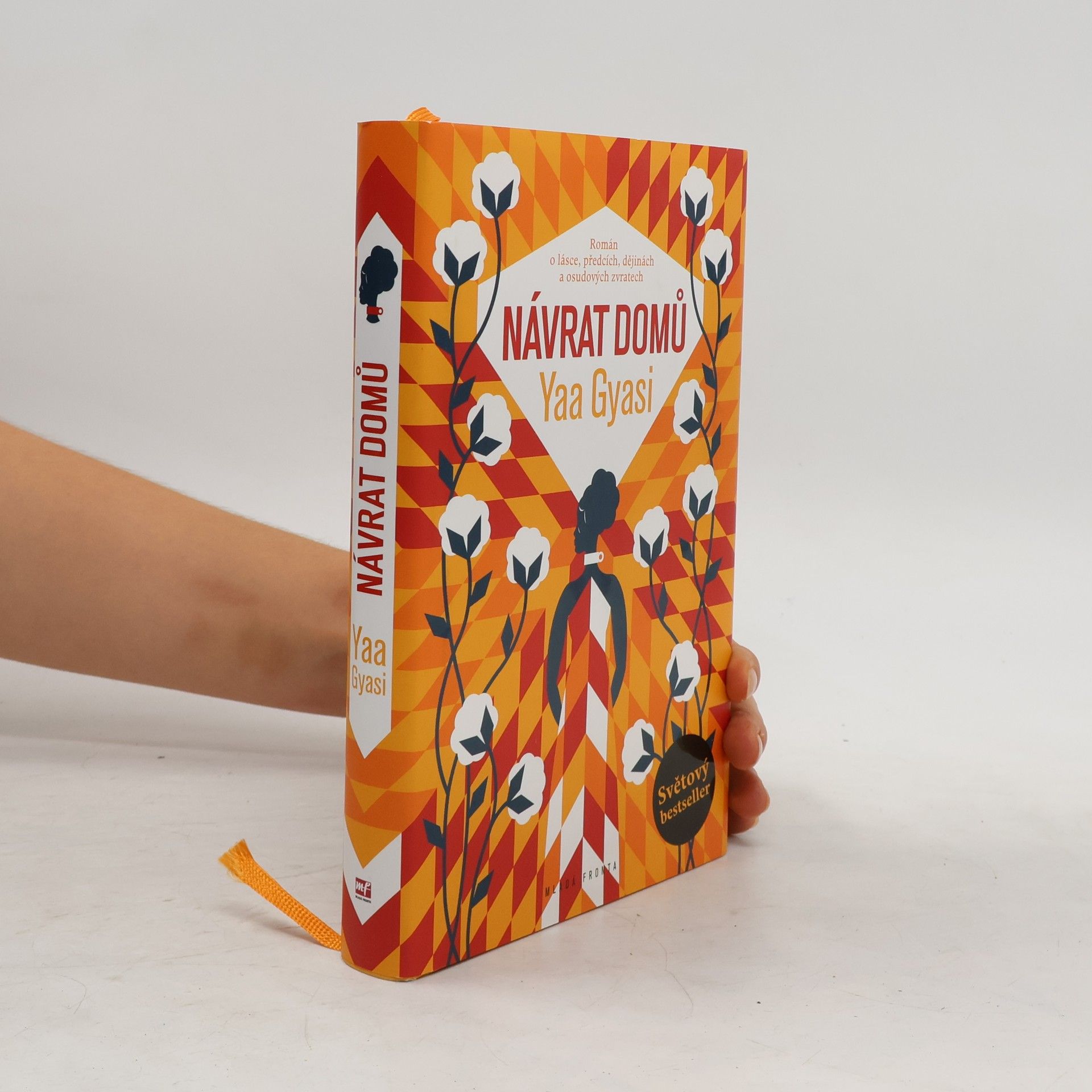 Yaa Gyasi Návrat domů