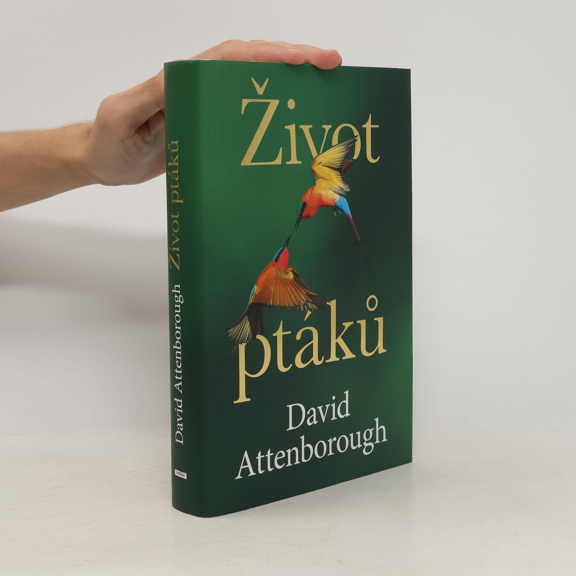 David Attenborough Život ptáků