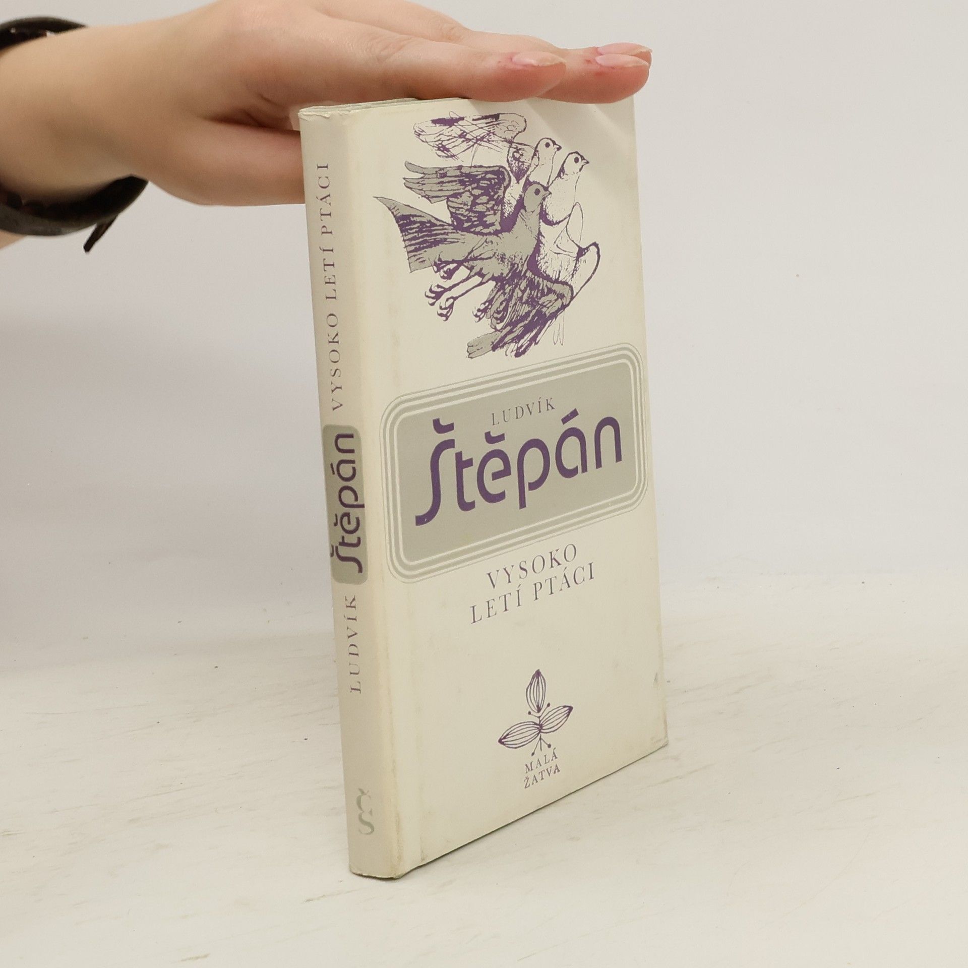 Ludvík Štěpán Vysoko letí ptáci