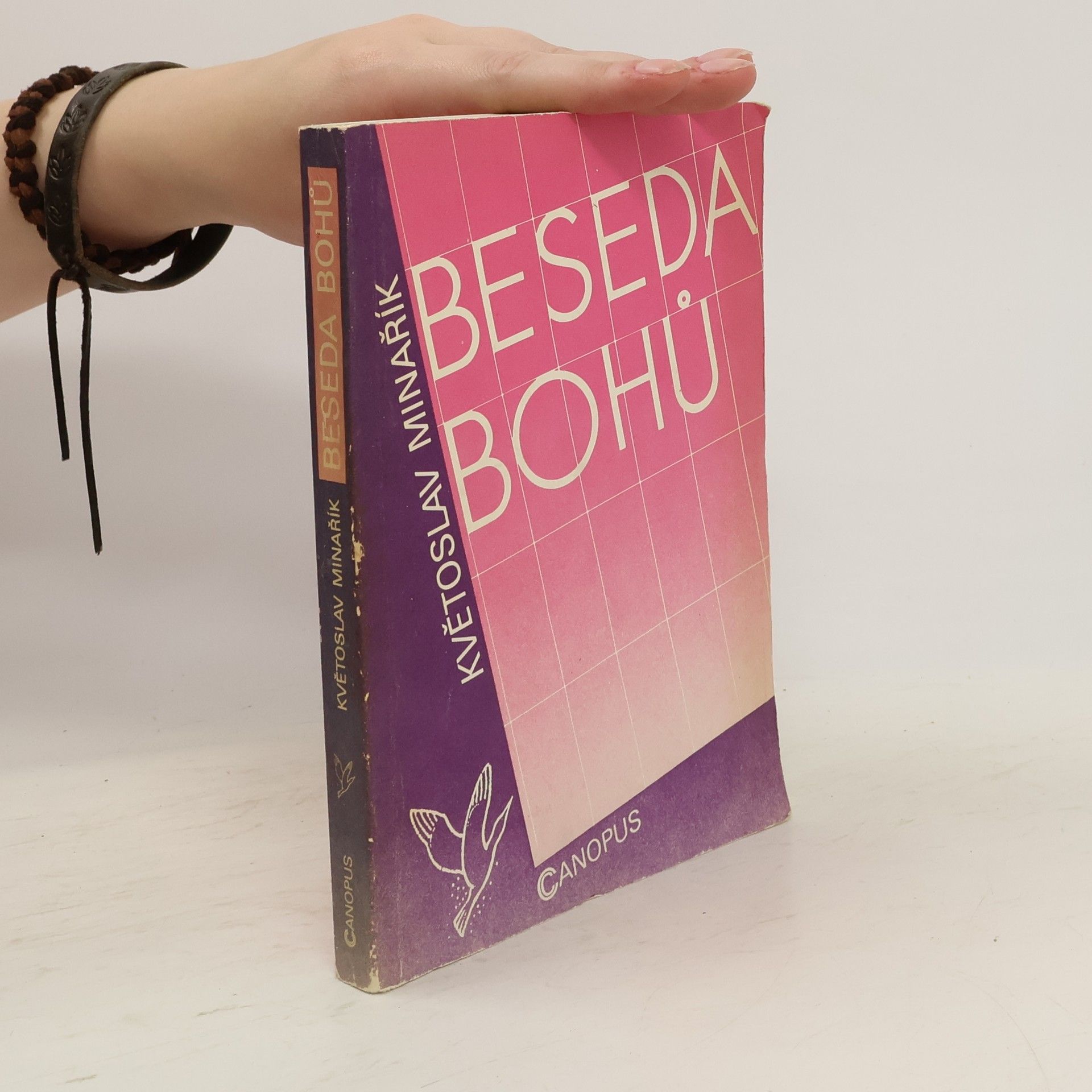 Květoslav Minařík Beseda bohů