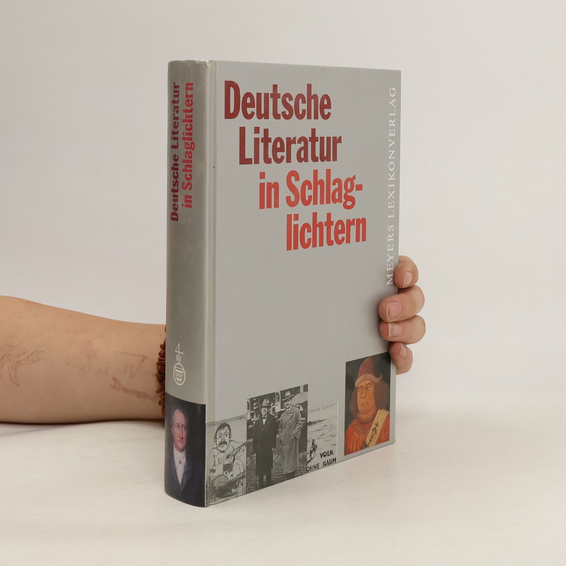 Bernd Balzer Deutsche Literatur in Schlaglichtern