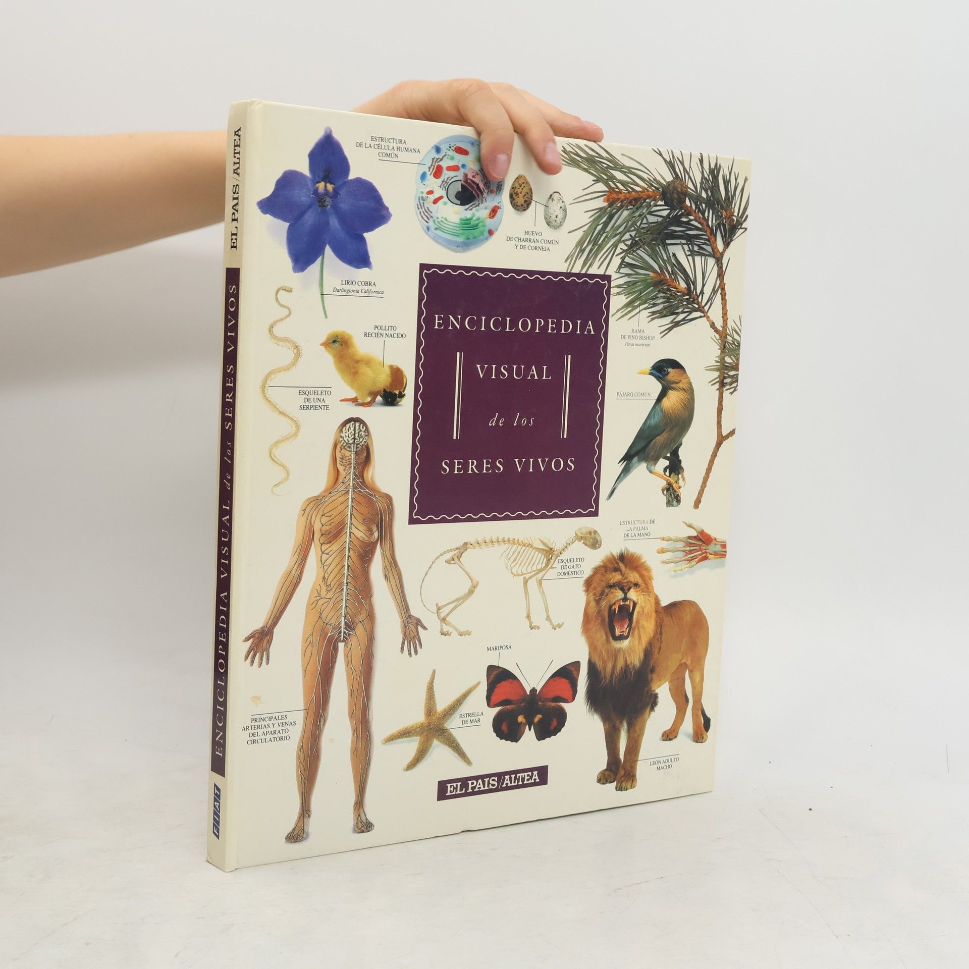 Various authors Enciclopedia visual de los seres vivos