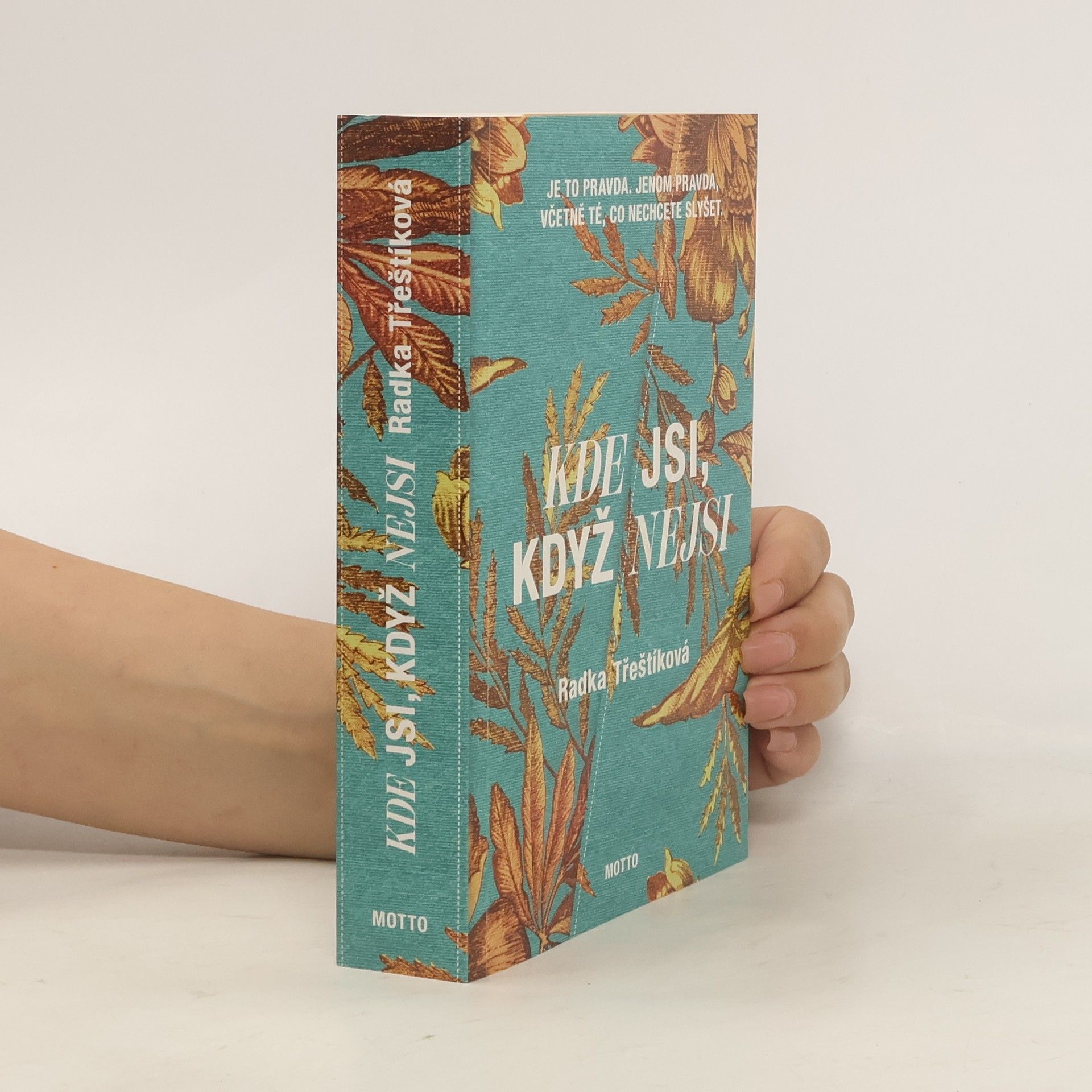 Radka Třeštíková Kde jsi, když nejsi