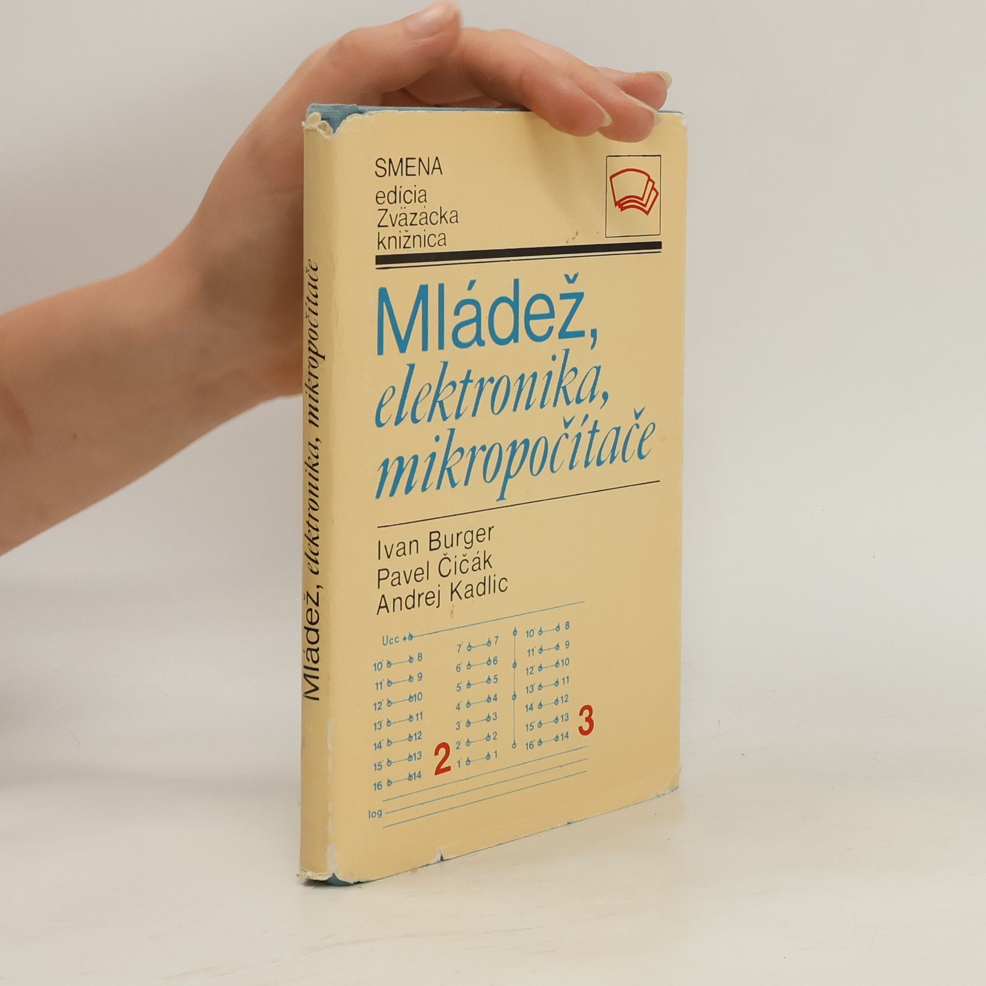 Pavel Čičák Mládež, elektronika, mikropočítače