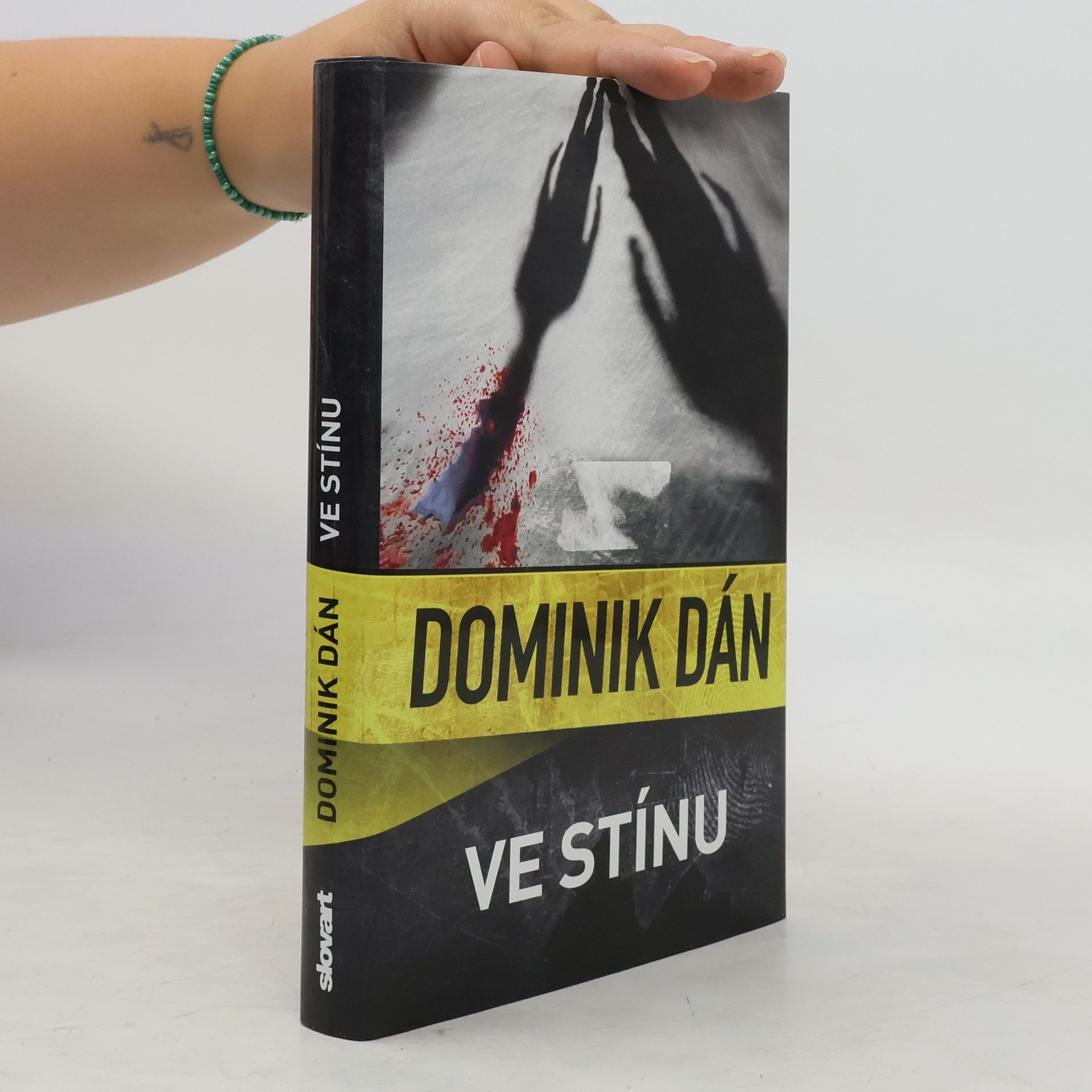 Dominik Dán Ve stínu