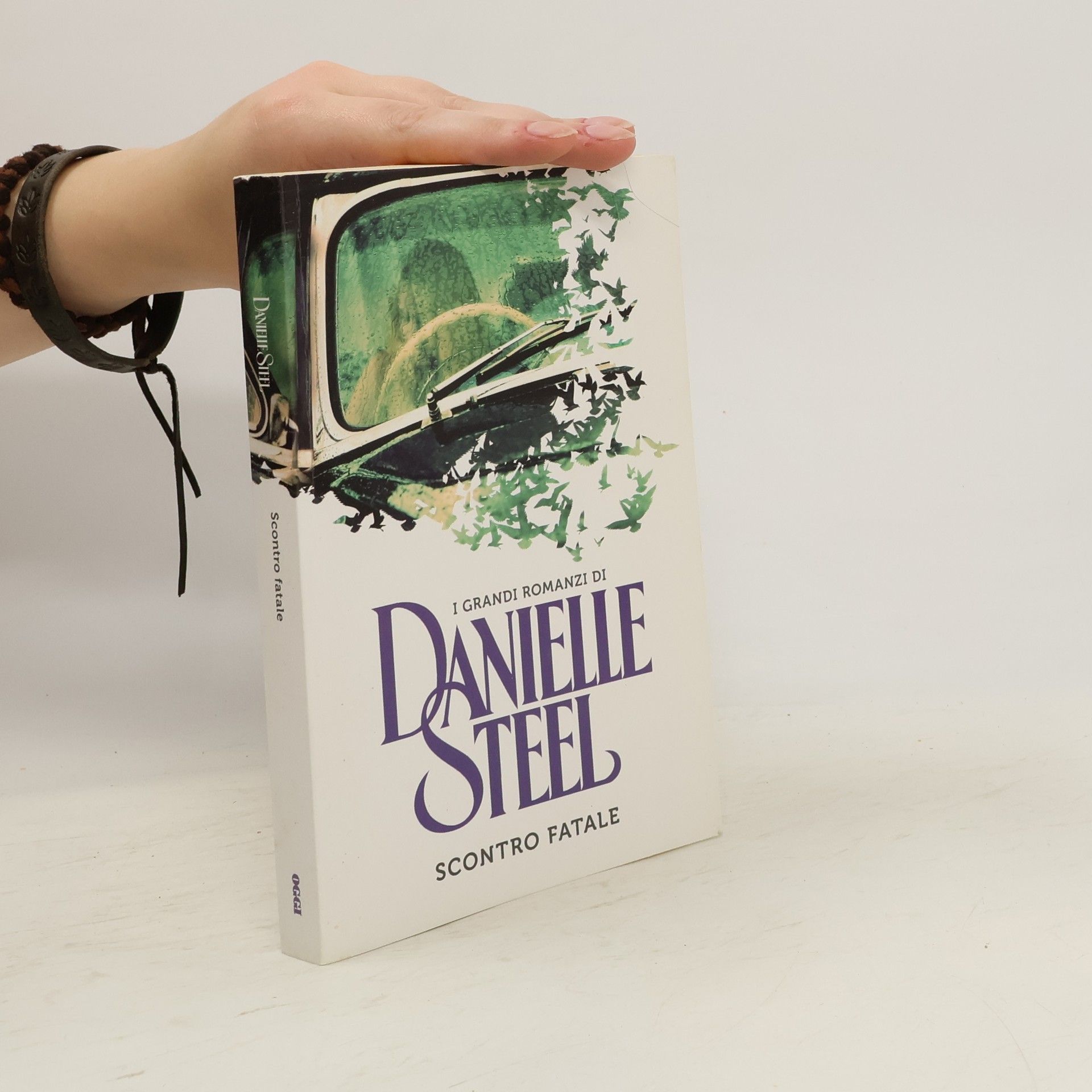 Danielle Steel Scontro fatale