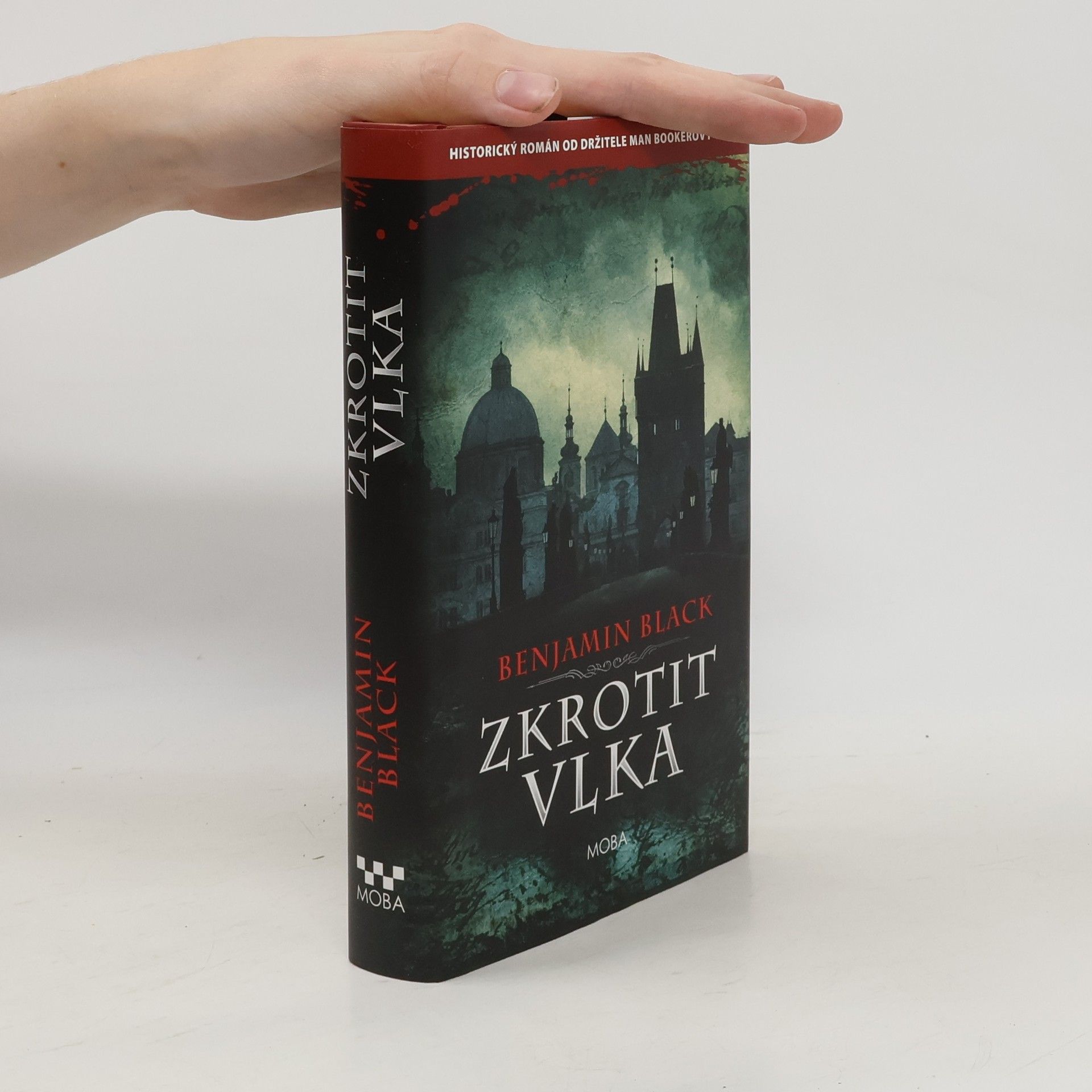 John Banville Zkrotit vlka