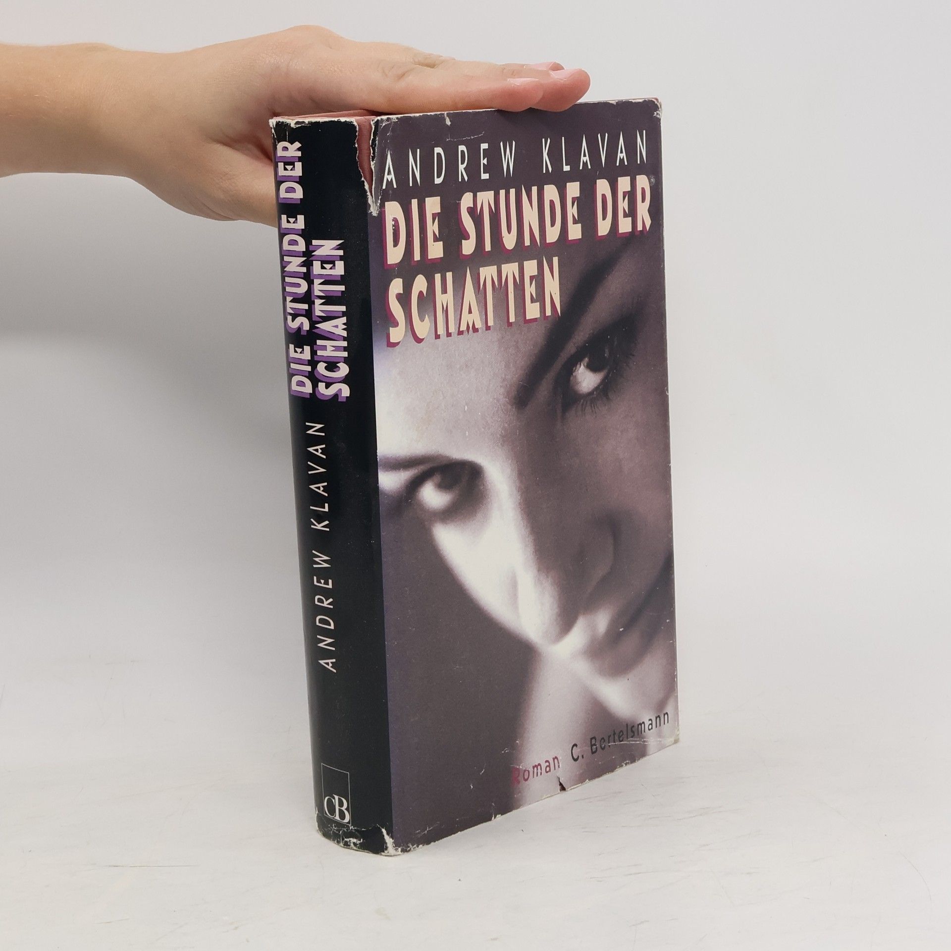 Andrew Klavan Die Stunde der Schatten