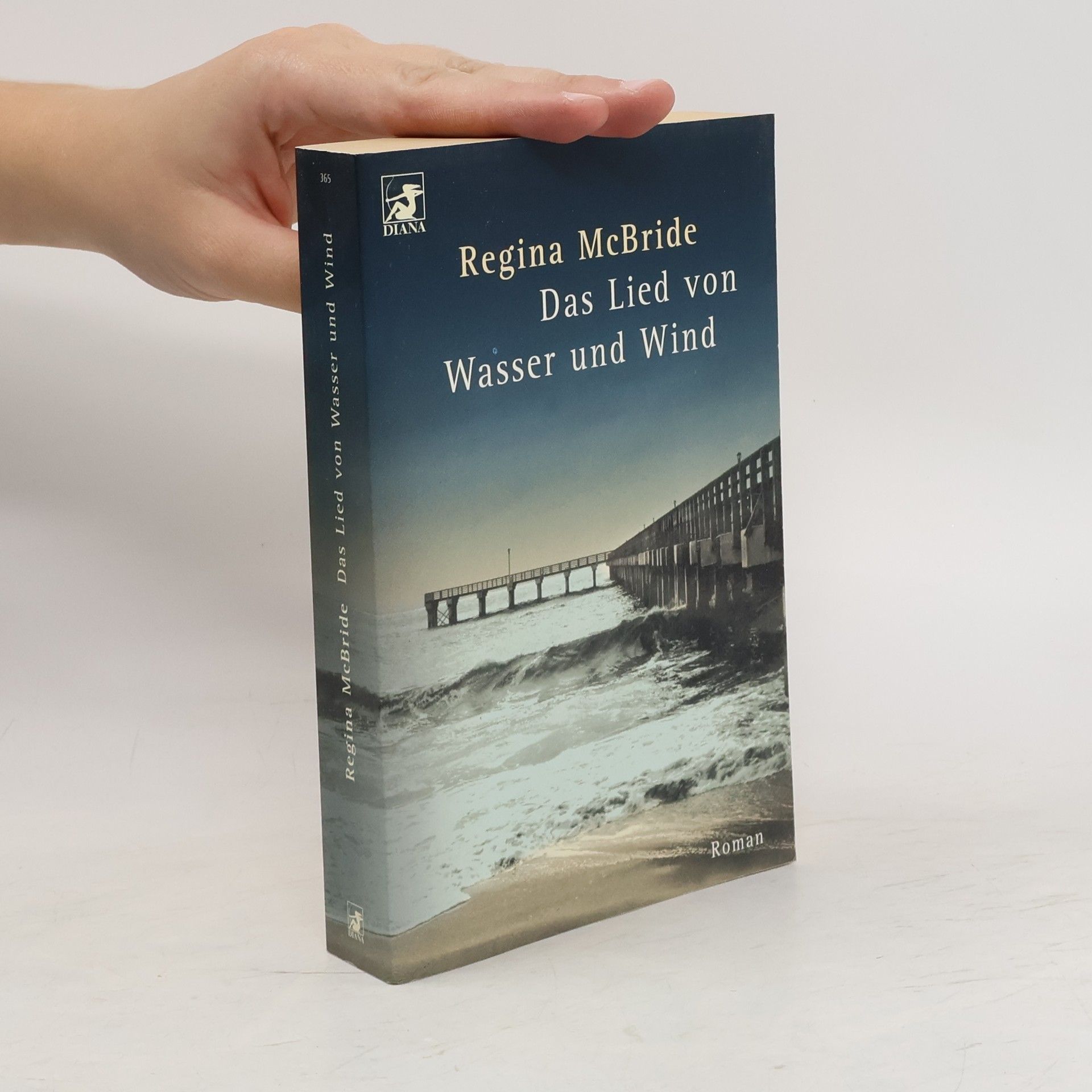 Regina McBride Das Lied von Wasser und Wind
